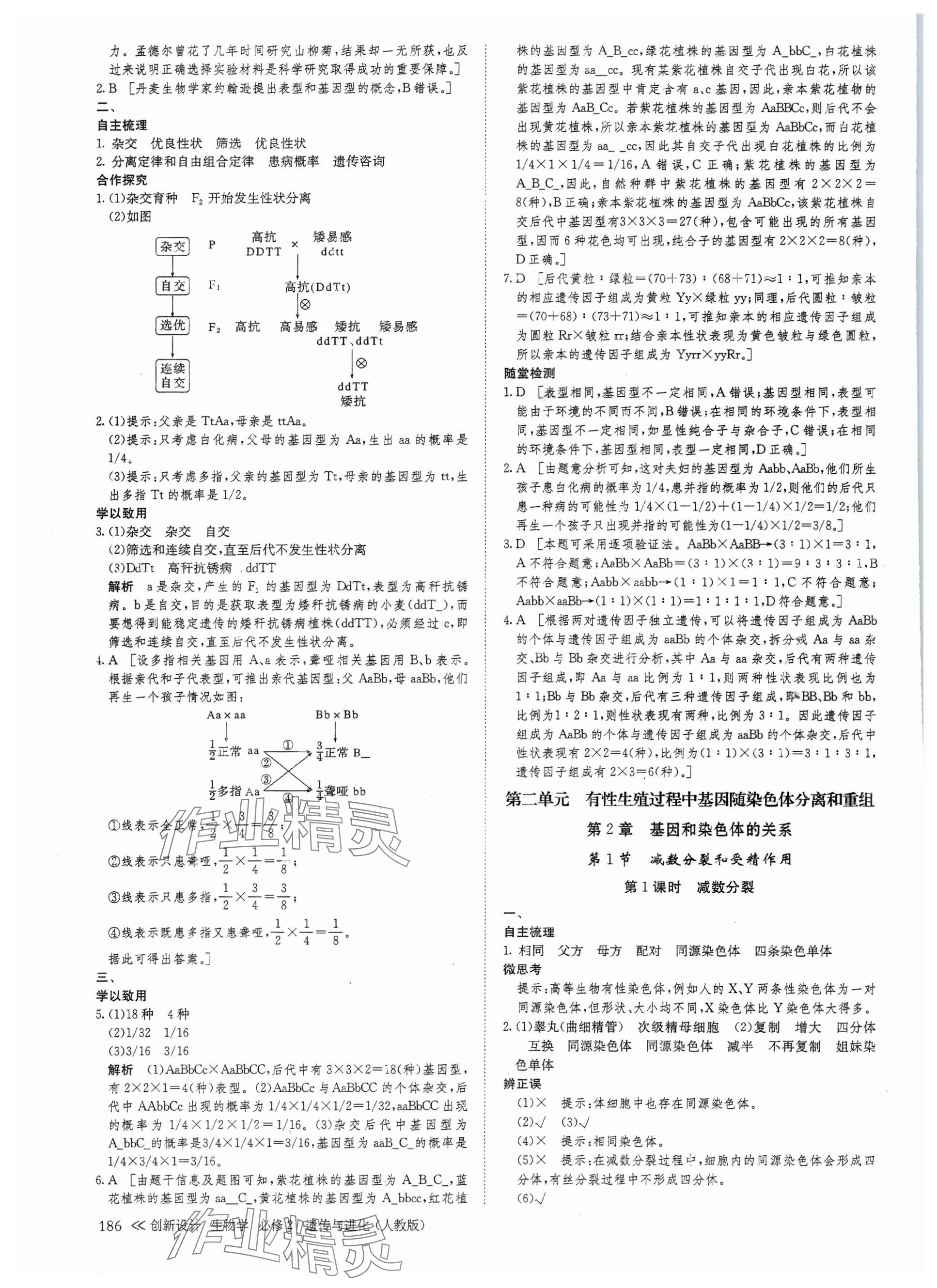 2025年創新設計高中生物必修2人教版 參考答案第13頁