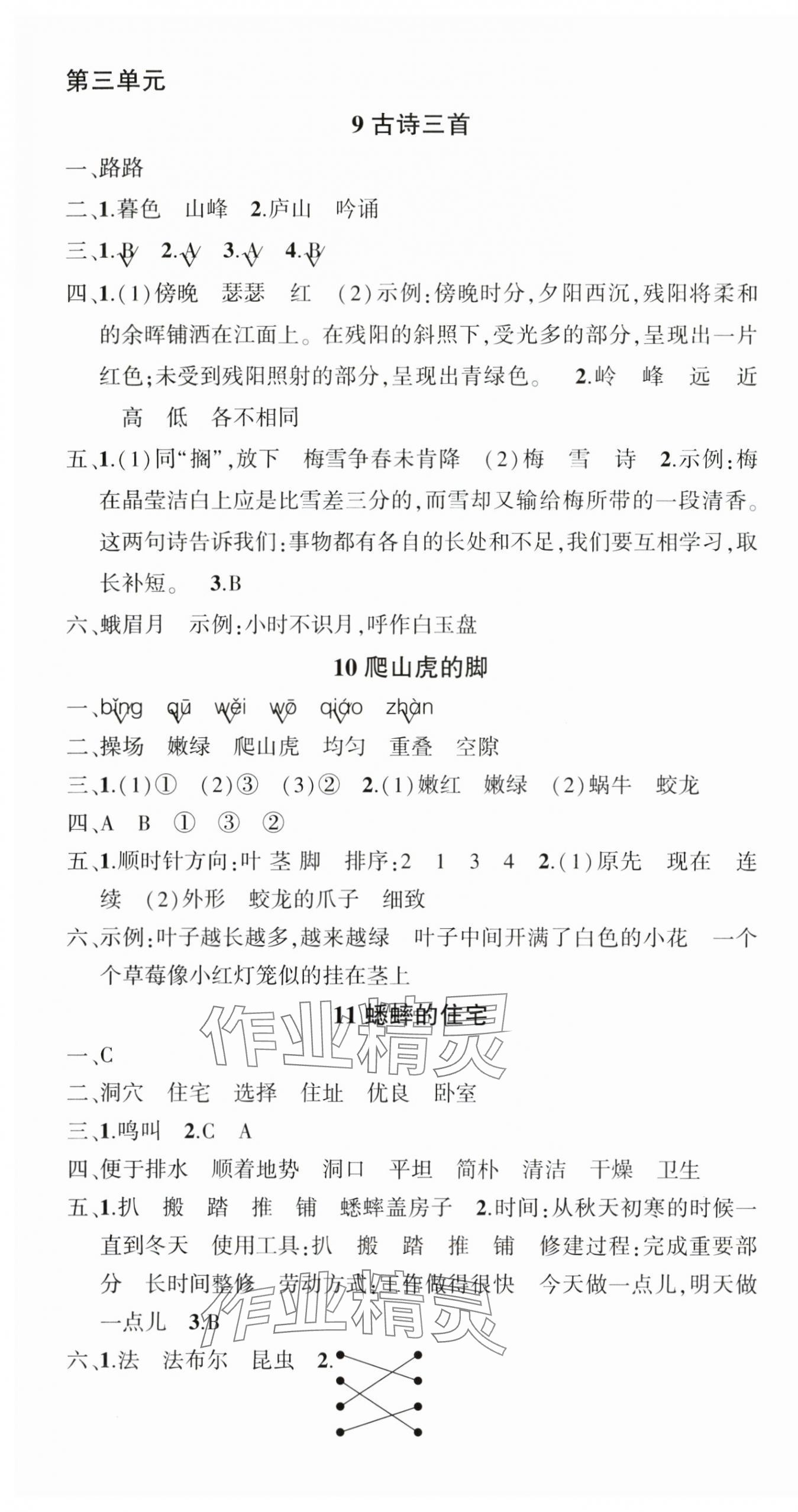 2024年狀元成才路創(chuàng)優(yōu)作業(yè)100分四年級語文上冊人教版浙江專版 參考答案第5頁