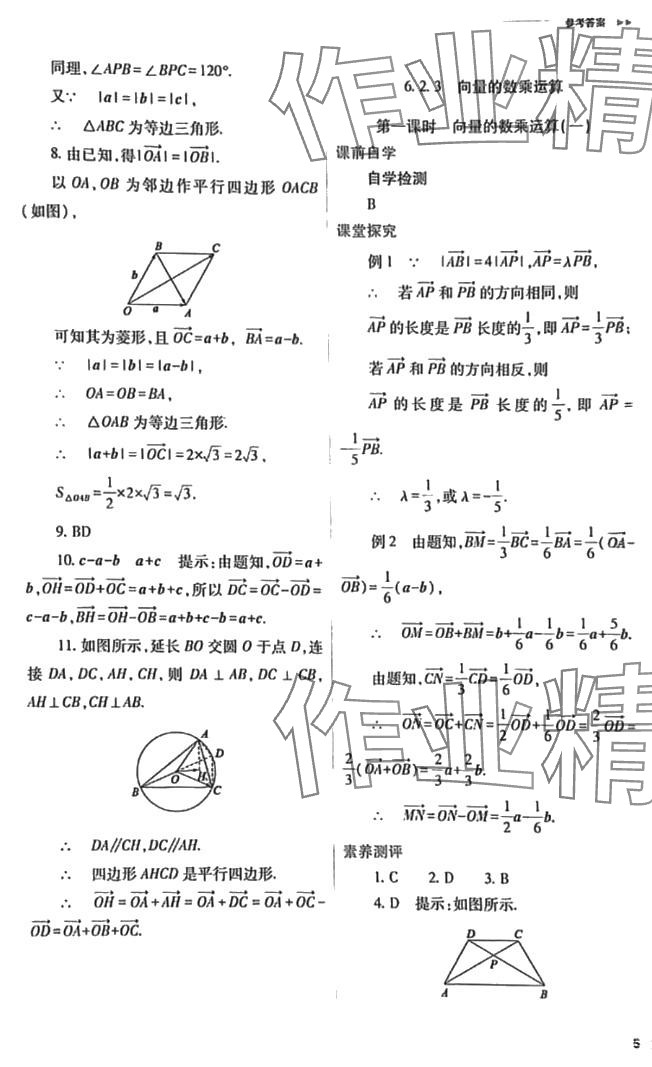 2024年普通高中新課程同步練習(xí)冊(cè)高中數(shù)學(xué)必修第一冊(cè)人教版 第5頁