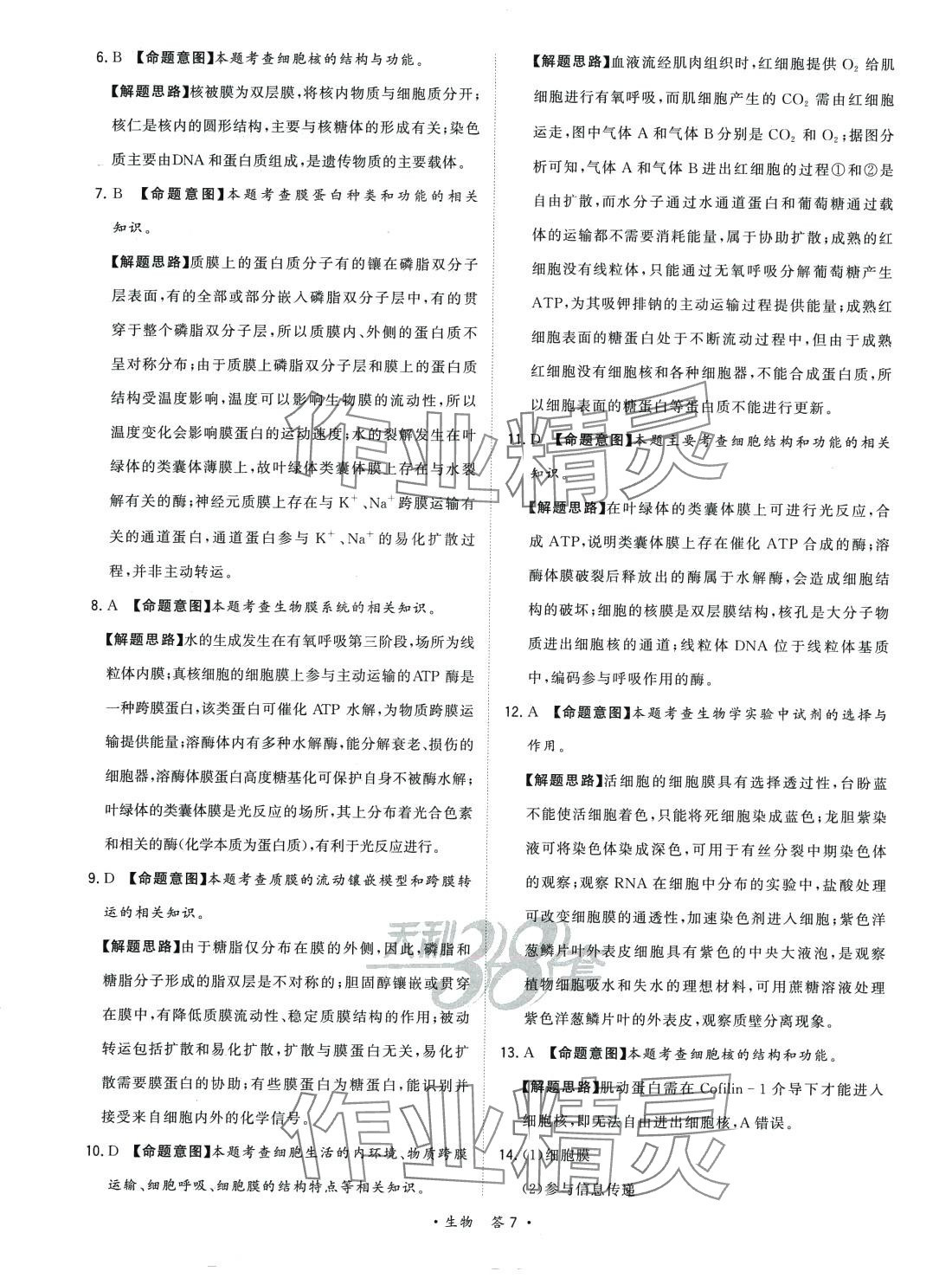 2024年天利38套對(duì)接高考單元專題訓(xùn)練高中生物 第7頁