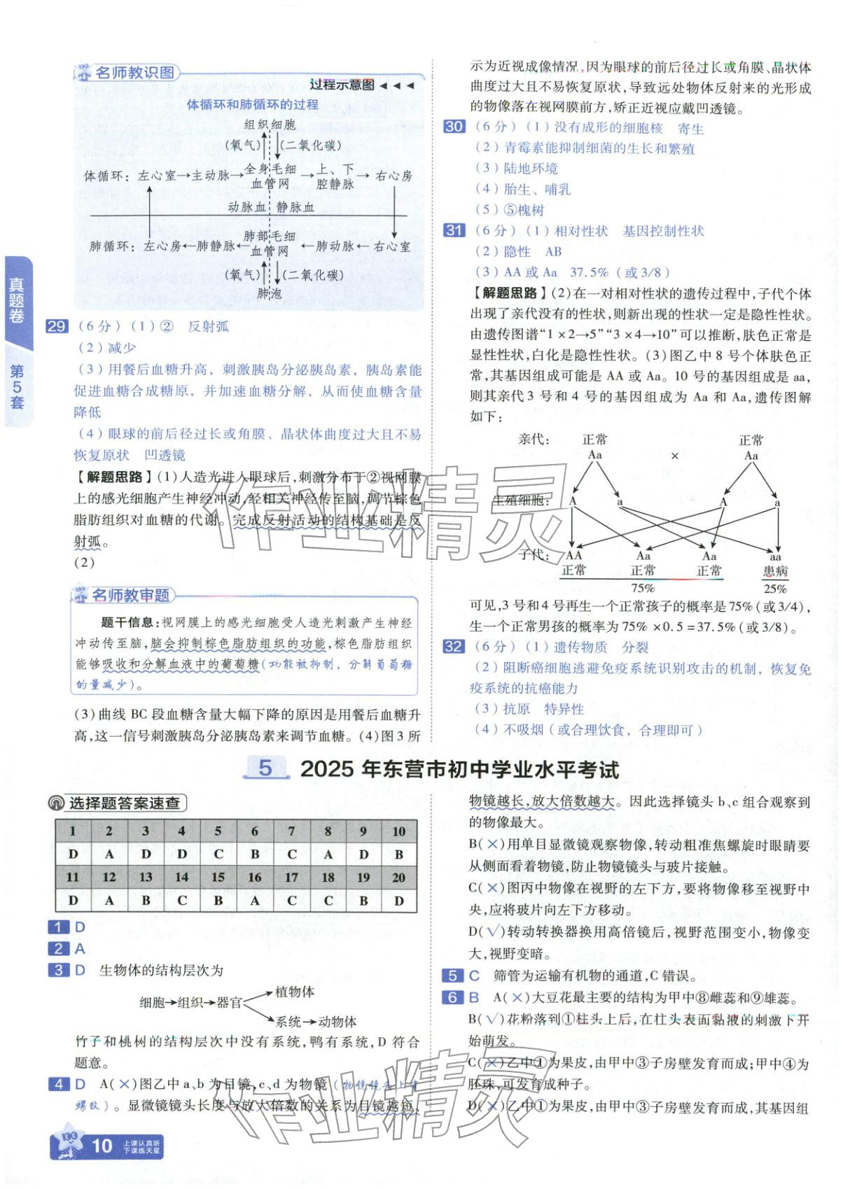 2026年金考卷中考试题汇编45套生物山东专版 第10页