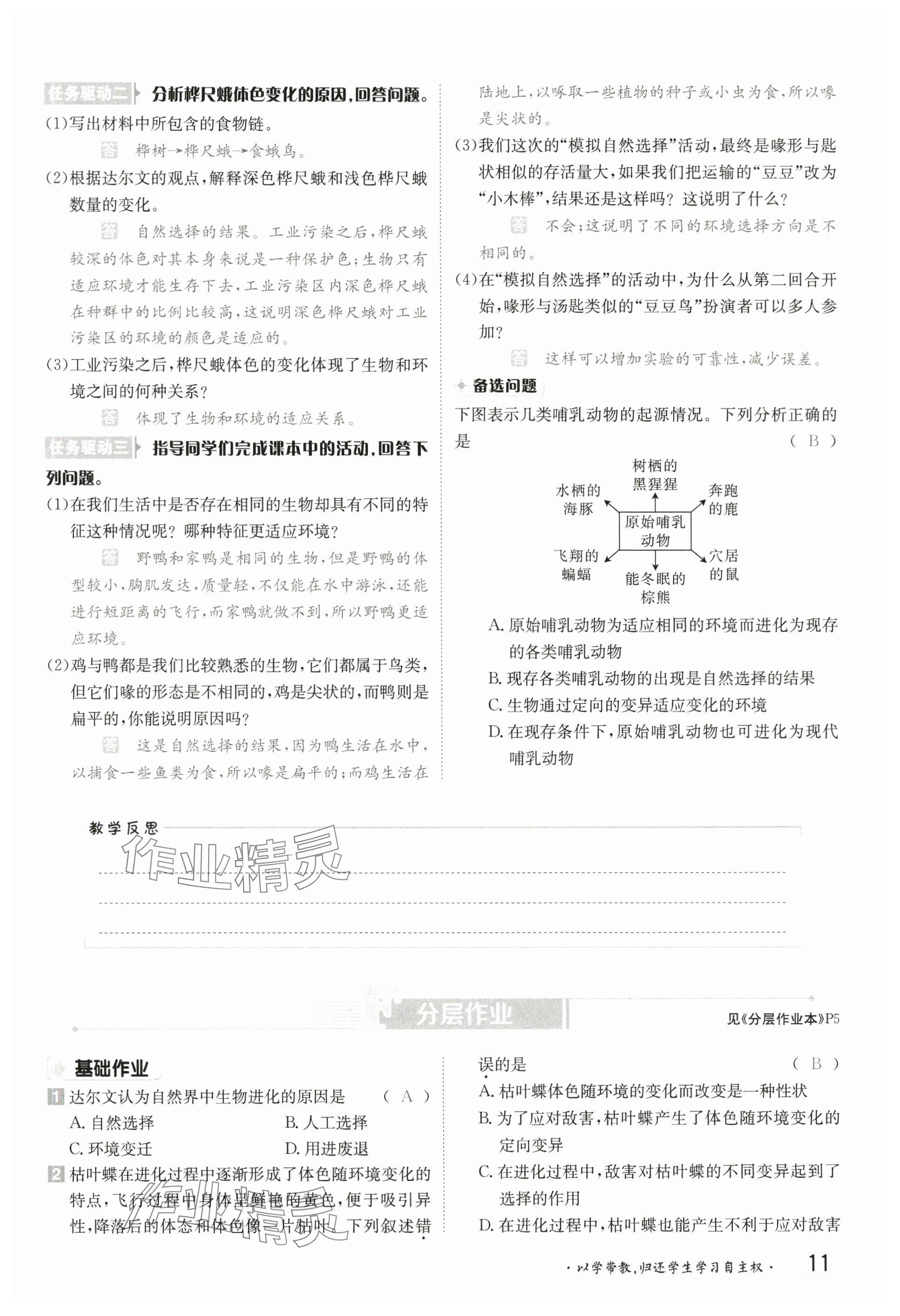 2025年金太陽(yáng)導(dǎo)學(xué)案八年級(jí)生物下冊(cè)北師大版 參考答案第10頁(yè)