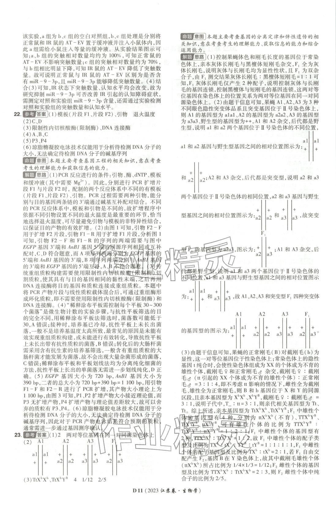 2026年新高考5年真题生物江苏专版&nbsp;第11页
