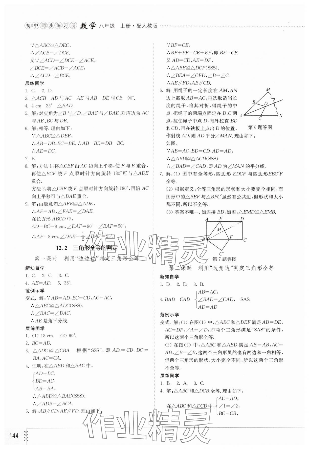 2023年同步練習冊山東教育出版社八年級數(shù)學上冊人教版 第4頁