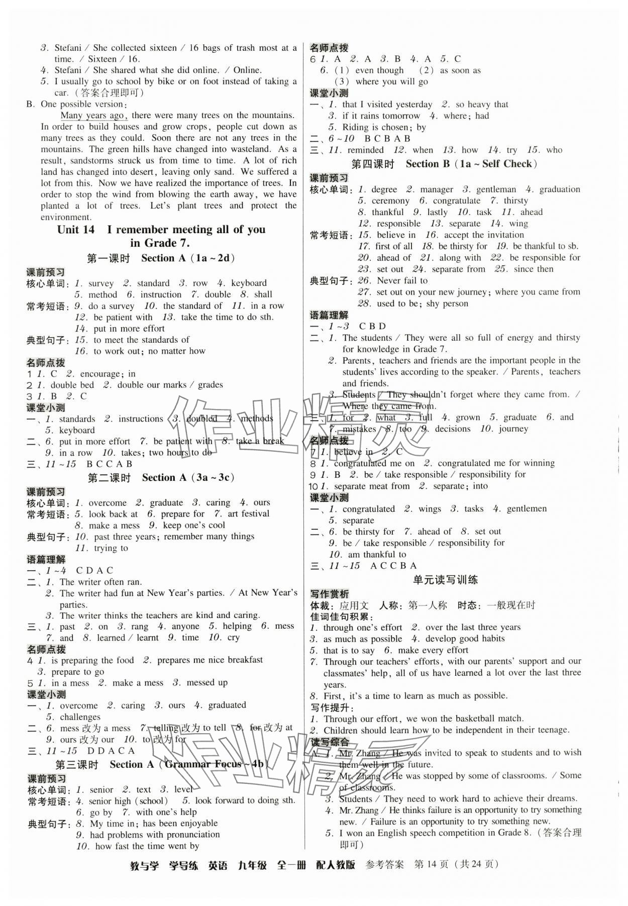2024年教與學(xué)學(xué)導(dǎo)練九年級(jí)英語全一冊(cè)人教版 第14頁