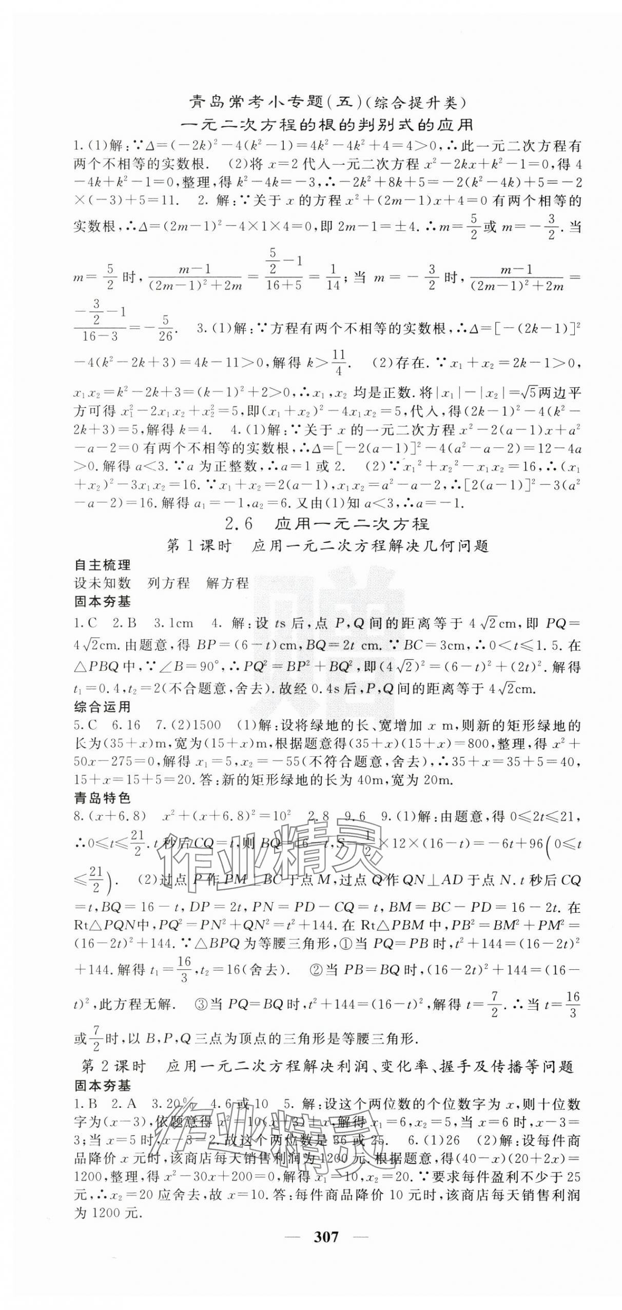 2024年名校課堂內(nèi)外九年級數(shù)學全一冊北師大版青島專版 第10頁