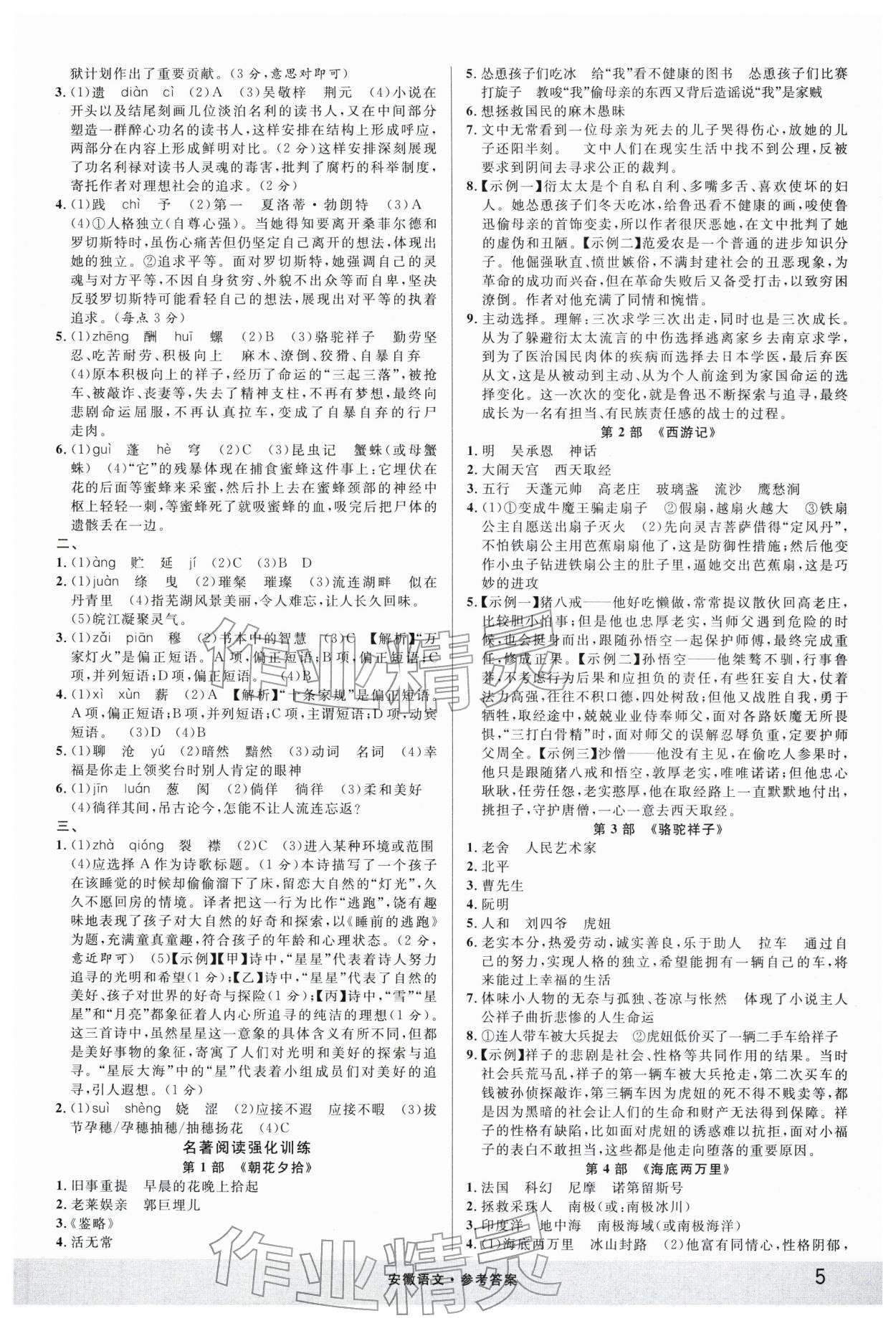 2026年名校课堂中考总复习语文安徽专版 第5页