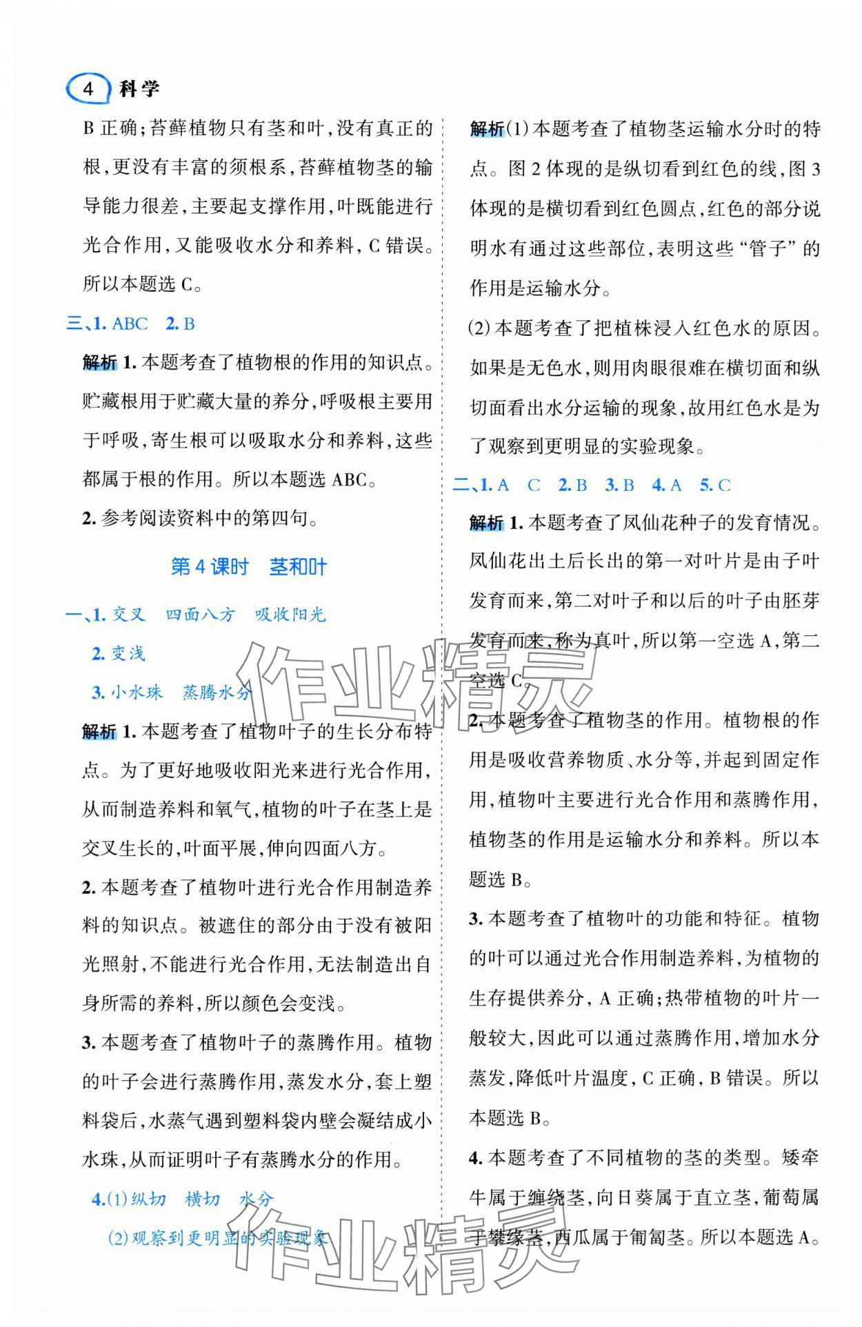 2025年名師面對面先學后練四年級科學下冊教科版 第4頁