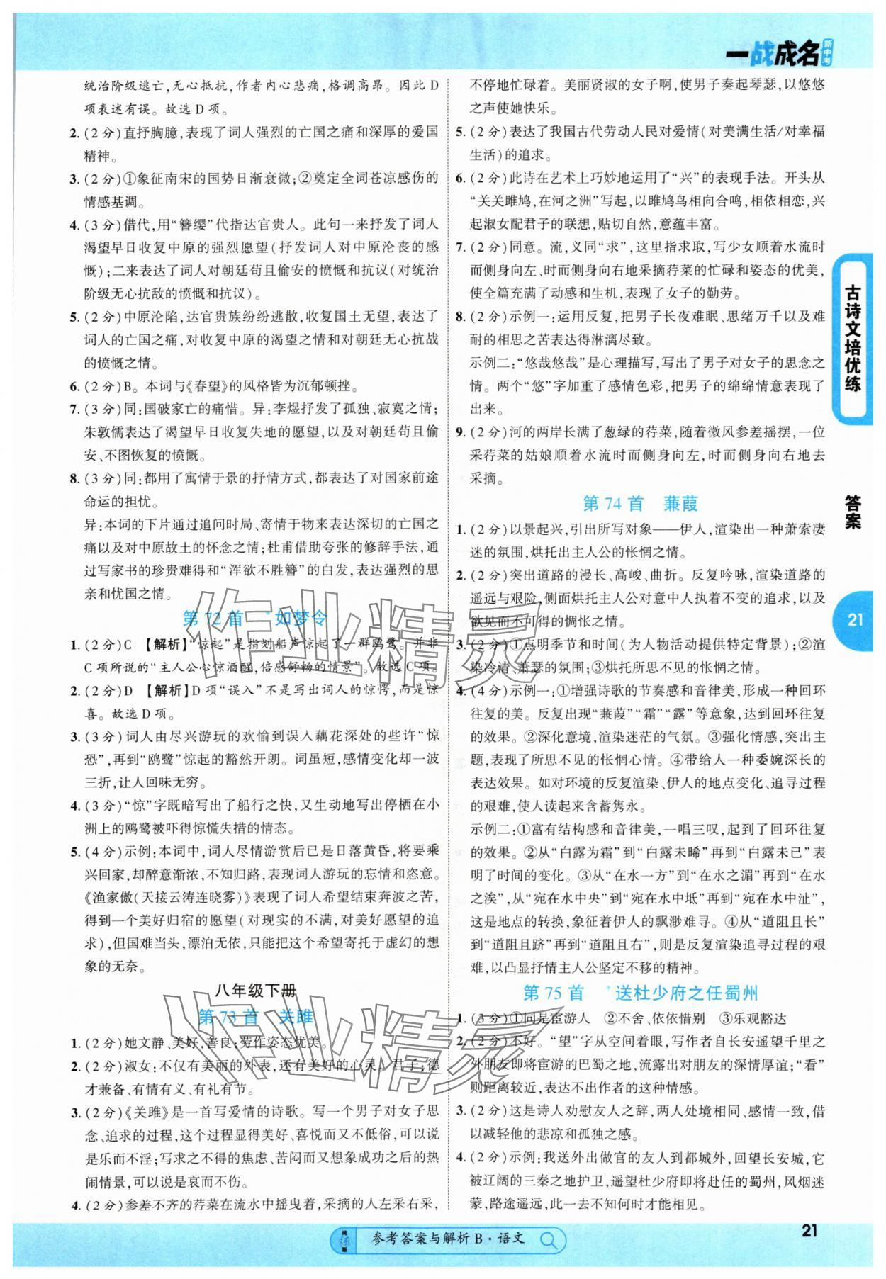 2025年純練版總復(fù)習(xí)語文&nbsp;第21頁
