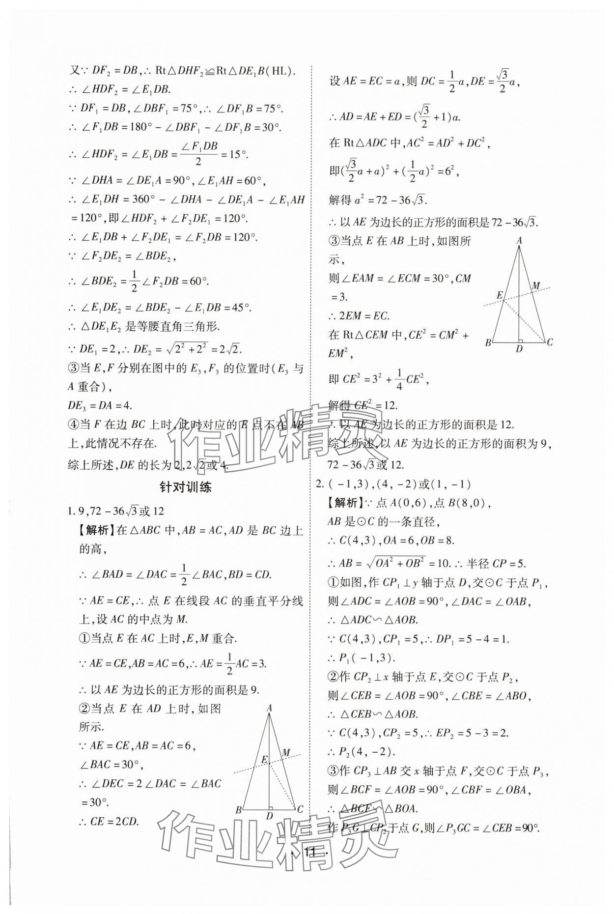 2025年專(zhuān)項(xiàng)新評(píng)價(jià)中考二輪數(shù)學(xué)江西專(zhuān)版 第11頁(yè)