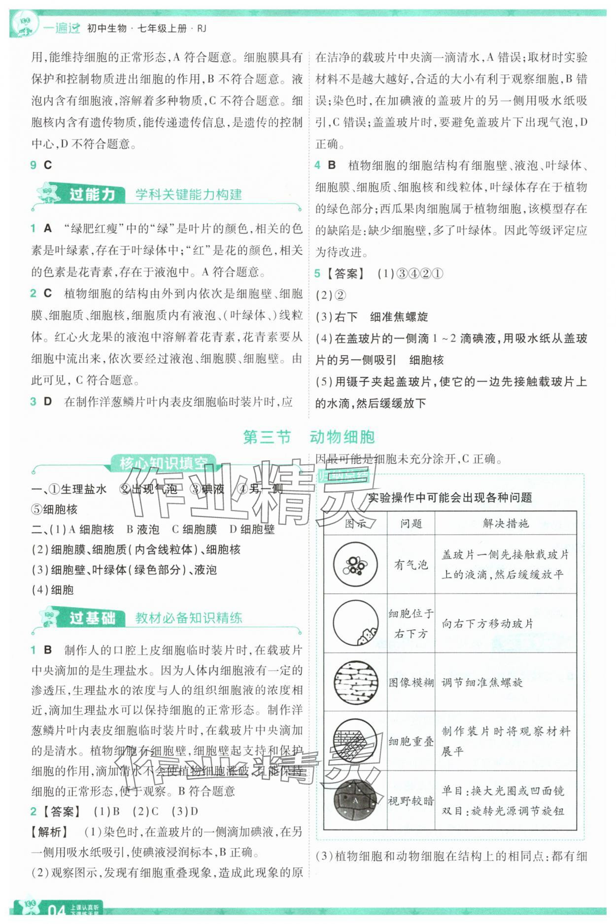 2025年一遍过七年级生物上册人教版 参考答案第4页
