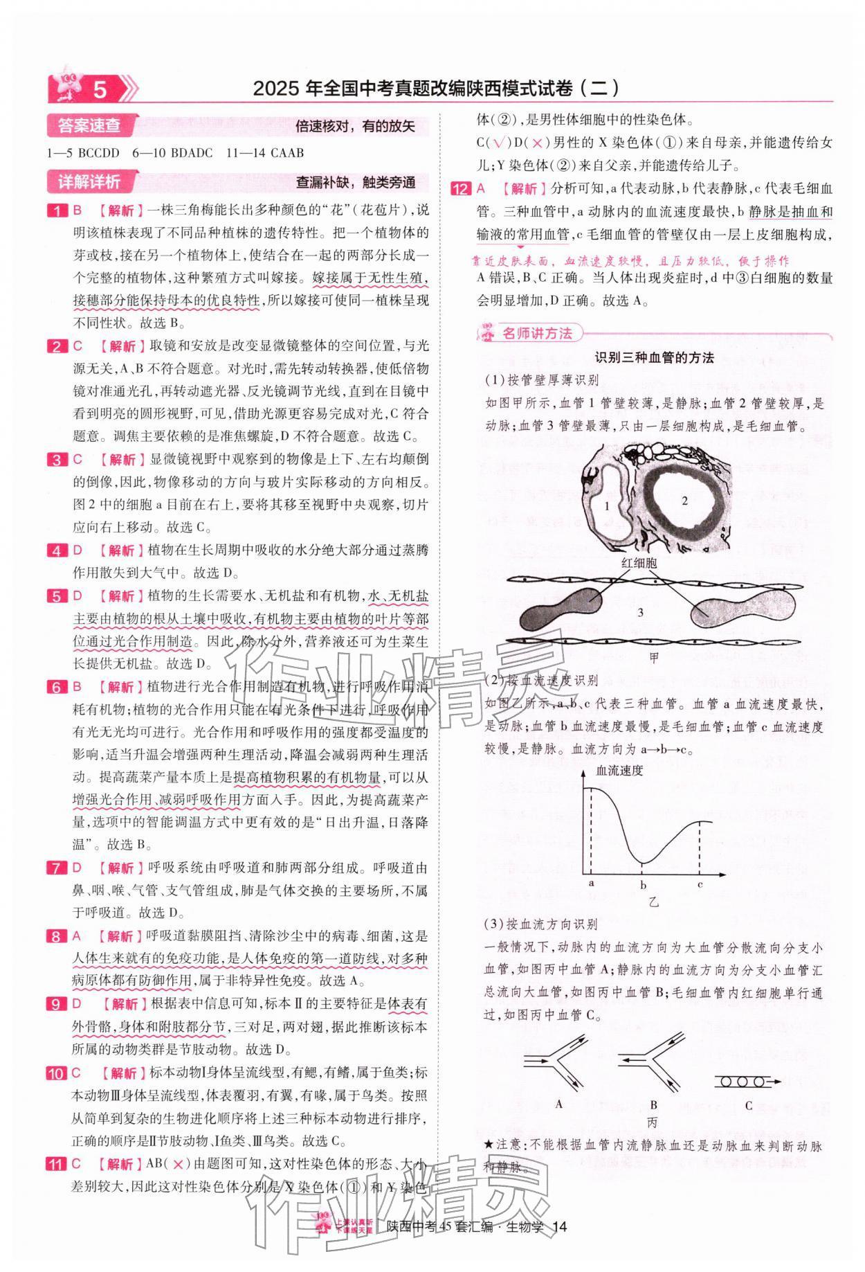 2026年金考卷45套汇编生物中考人教版陕西专版&nbsp;第14页