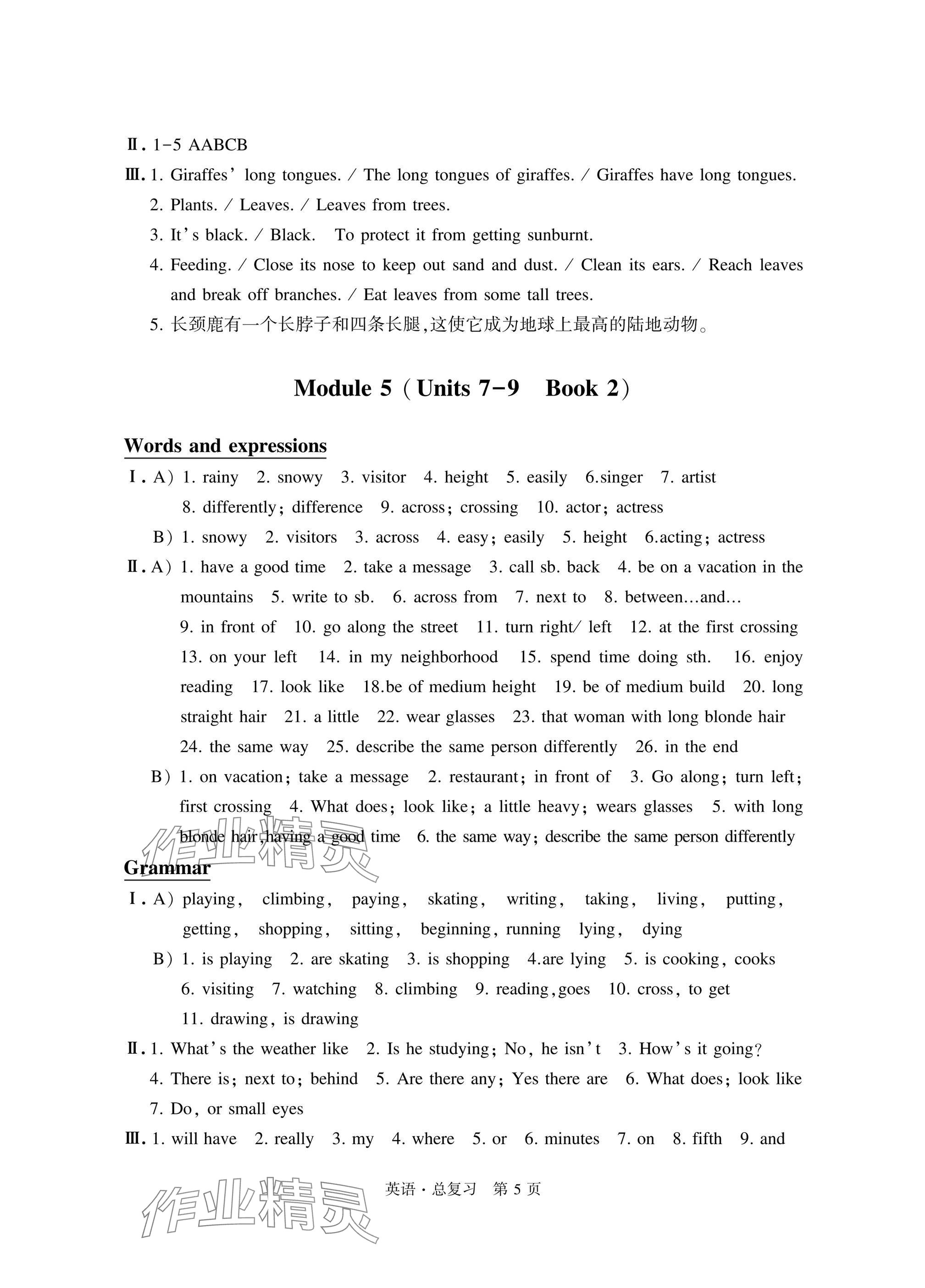 2025年自主学习指导课程总复习英语 参考答案第5页