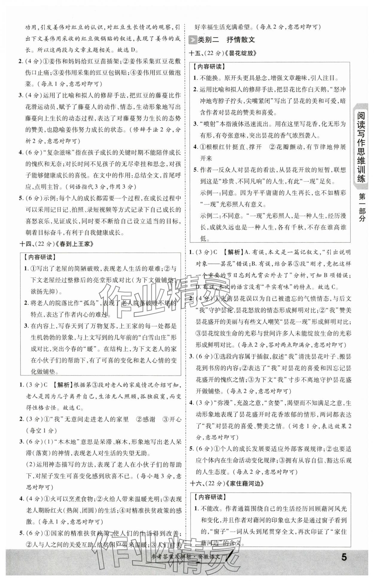 2024年一戰(zhàn)成名考前新方案語文安徽專版 第5頁