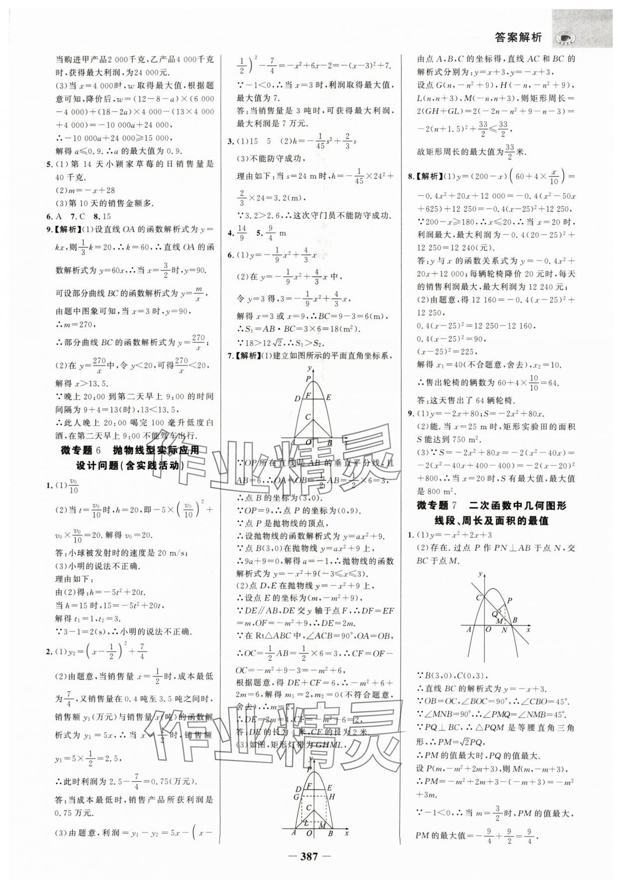 2025年世纪金榜金榜中考数学广西专版 参考答案第6页