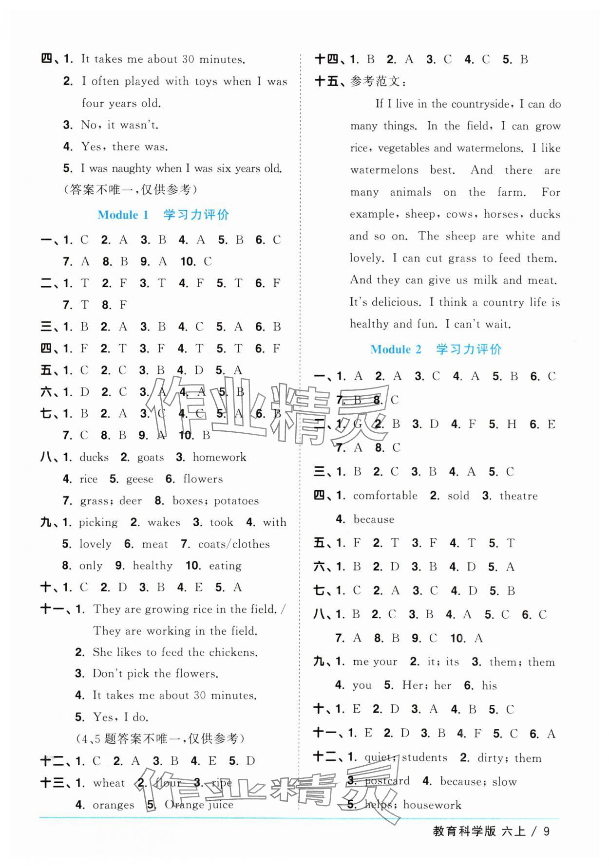 2025年陽光同學課時優(yōu)化作業(yè)六年級英語上冊教科版廣州專版 第9頁