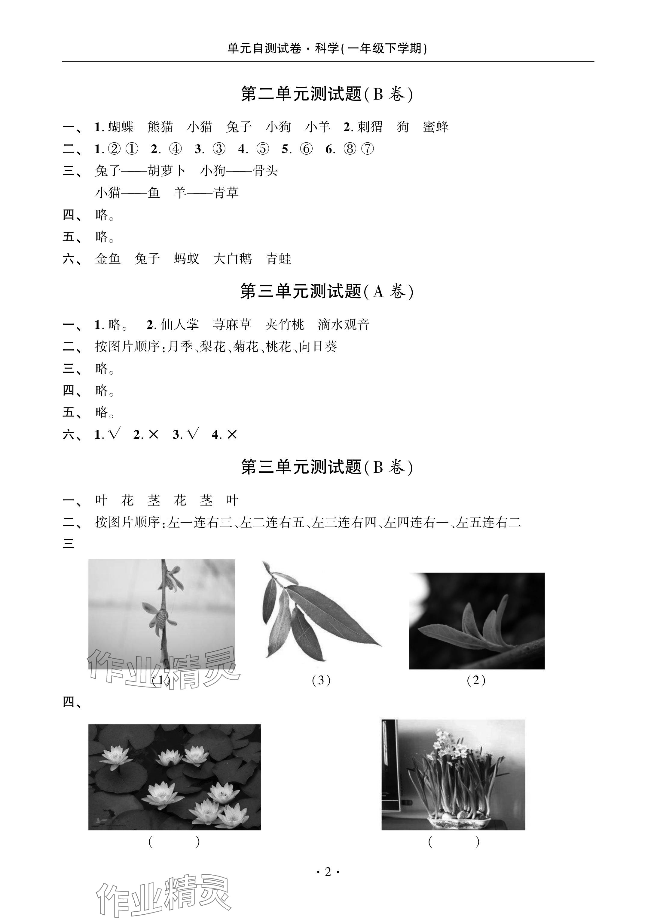 2024年單元自測(cè)試卷青島出版社一年級(jí)科學(xué)下冊(cè)青島版 參考答案第2頁(yè)