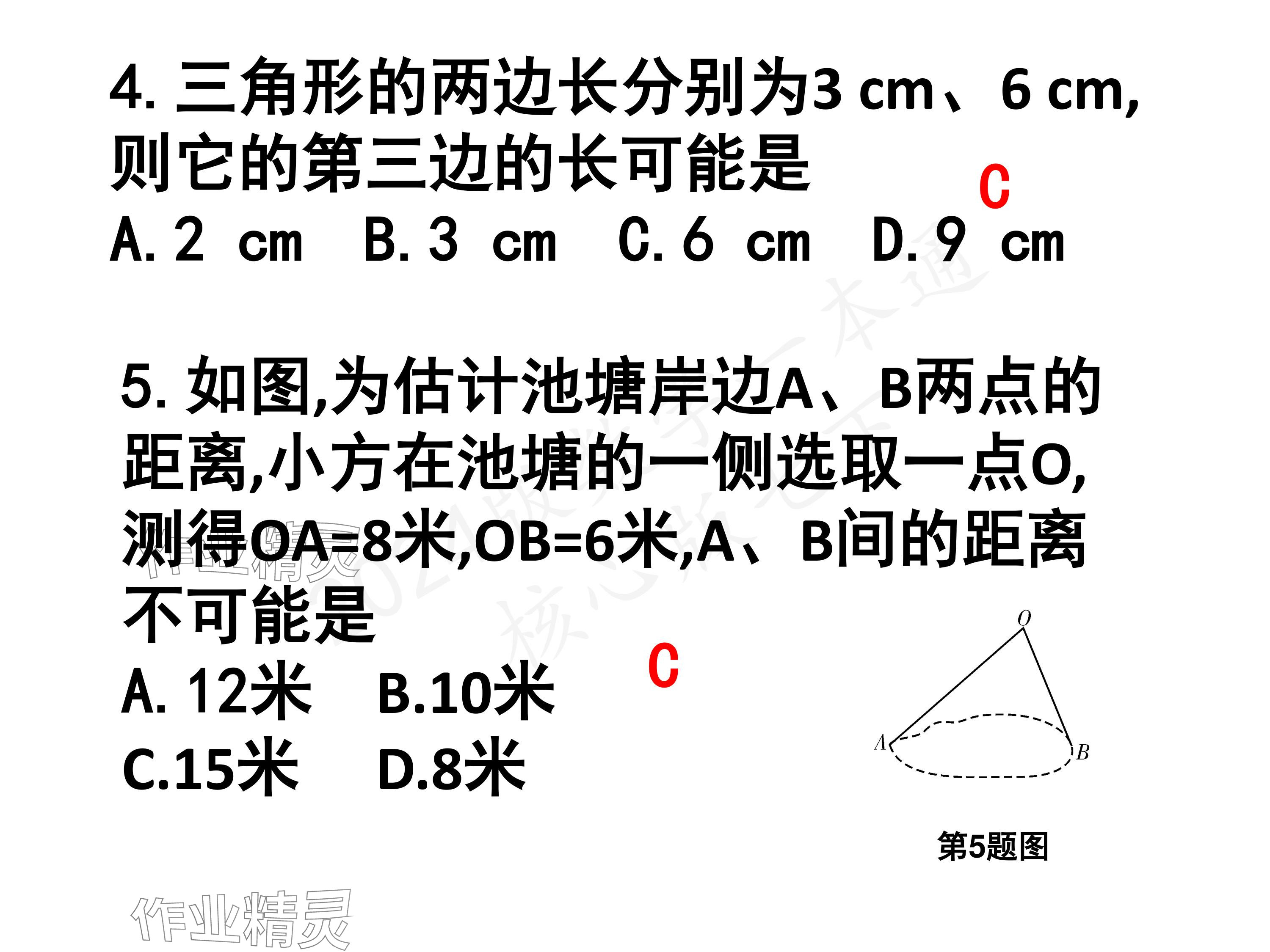 2024年一本通武汉出版社七年级数学下册北师大版 参考答案第16页