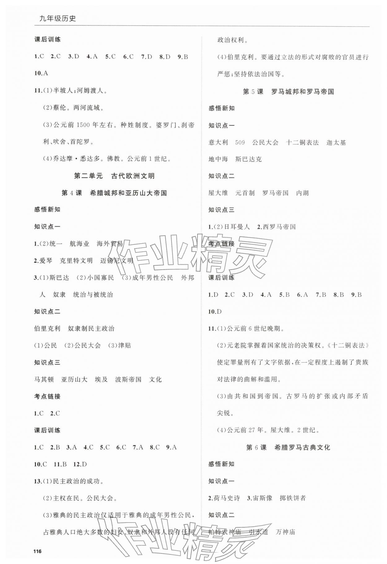 2025年高效通教材精析精练九年级历史上册人教版 第2页