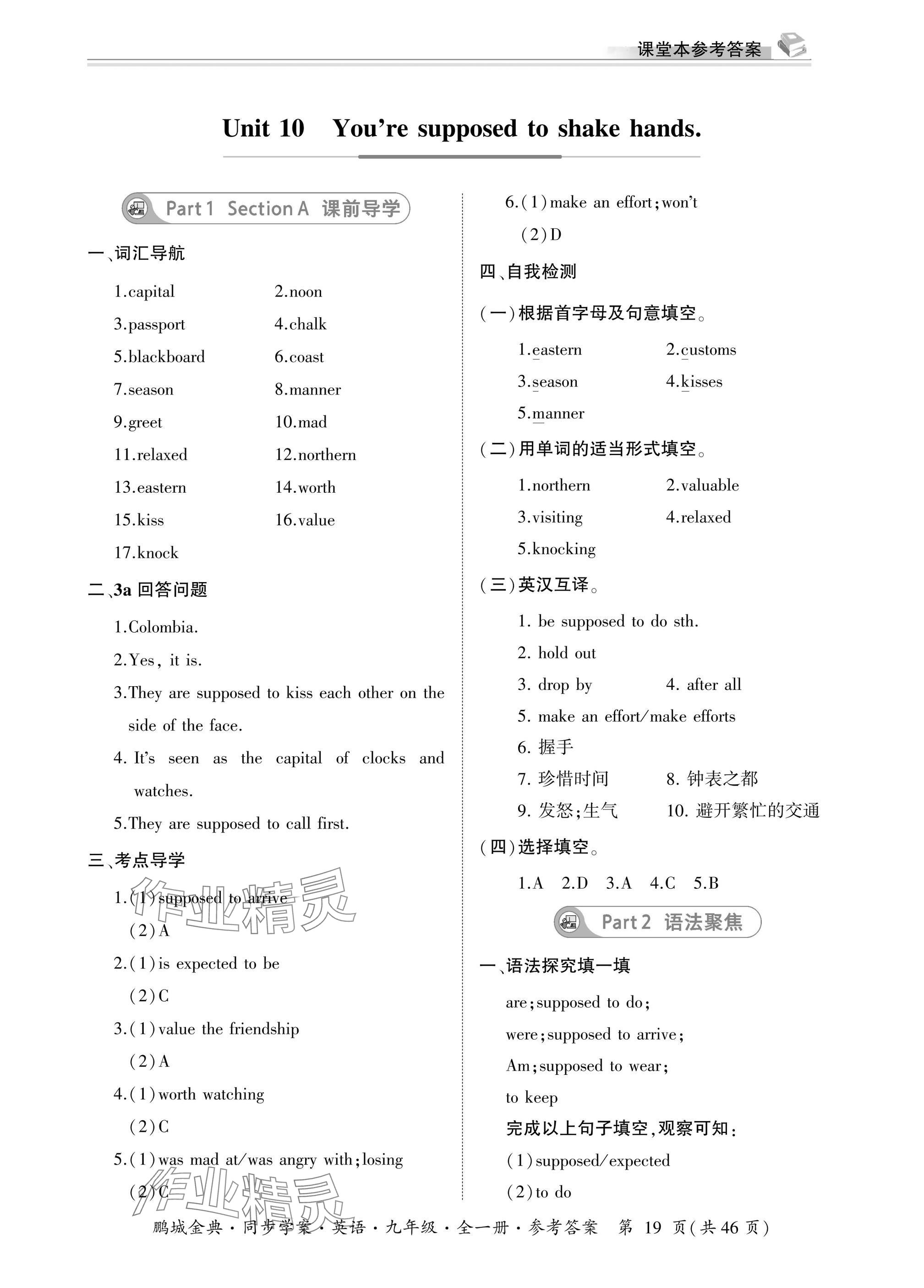 2025年名师帮同步学案九年级英语全一册人教版&nbsp;参考答案第19页