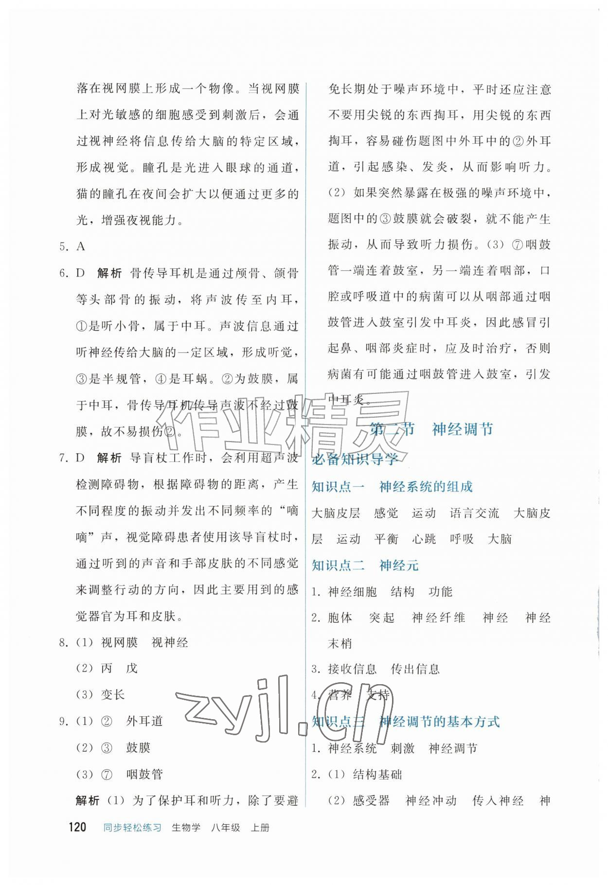 2026年同步轻松练习八年级生物上册人教版四川专版&nbsp;参考答案第2页