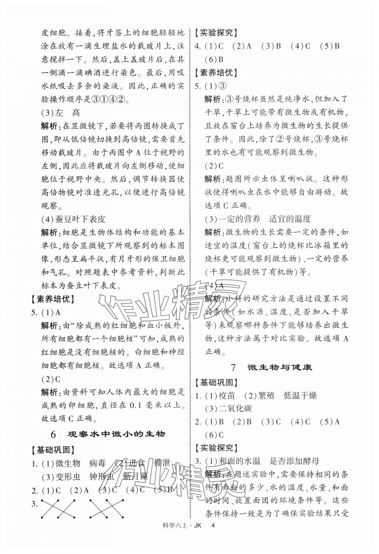 2025年經(jīng)綸學(xué)典提高班六年級(jí)科學(xué)上冊(cè)教科版 第4頁(yè)