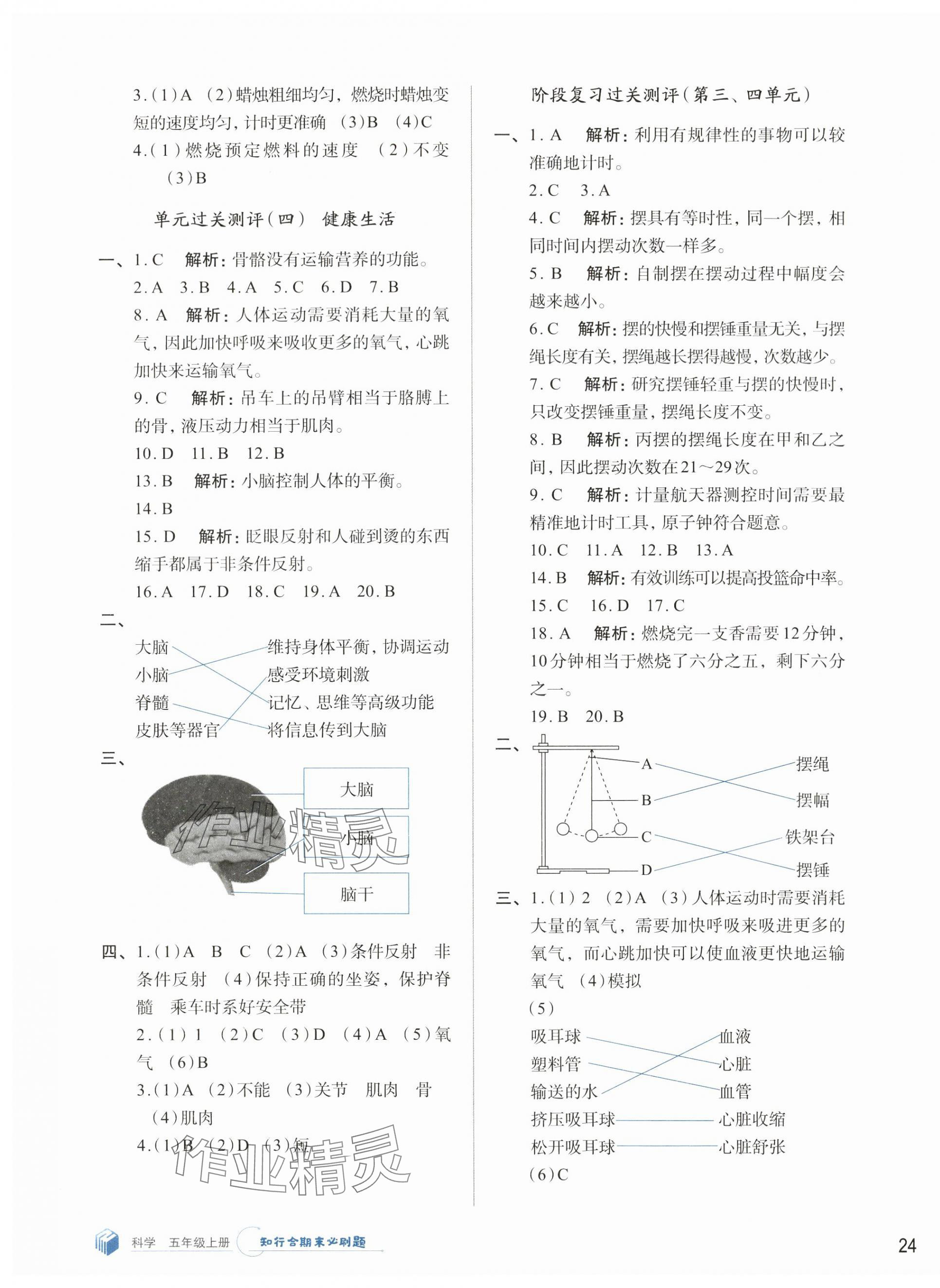 2024年知行合期末必刷題五年級科學(xué)上冊教科版 參考答案第3頁