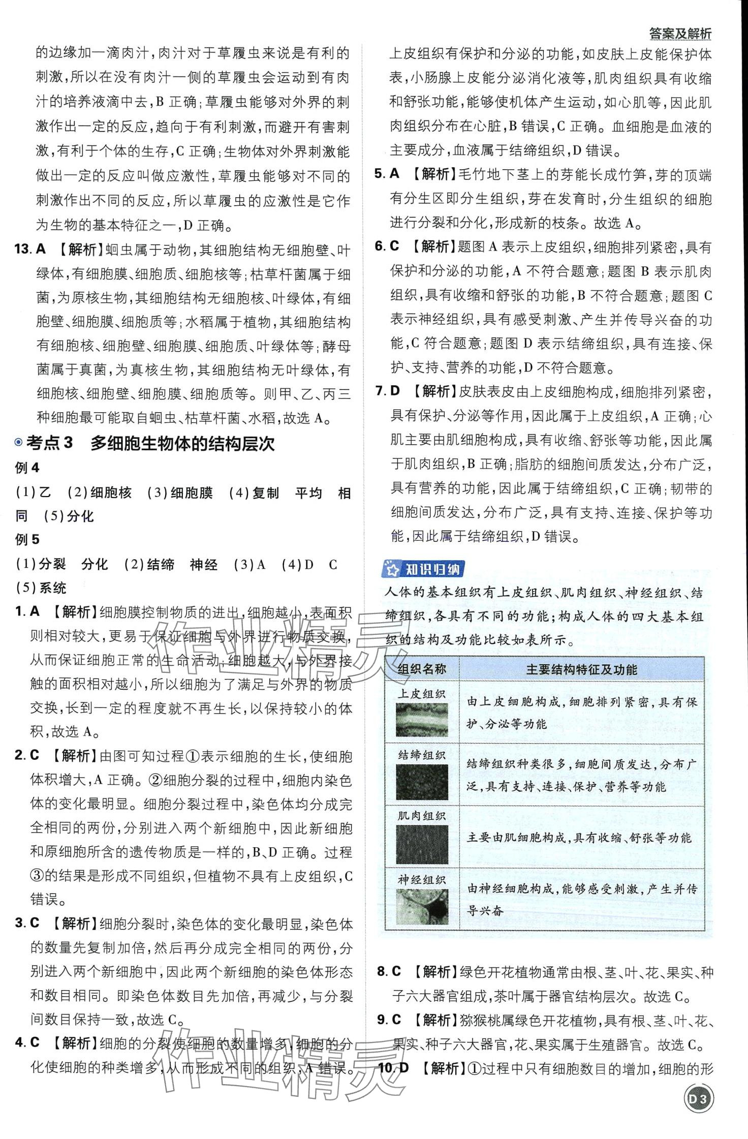 2024年中考必刷卷开明出版社生物&nbsp;第3页