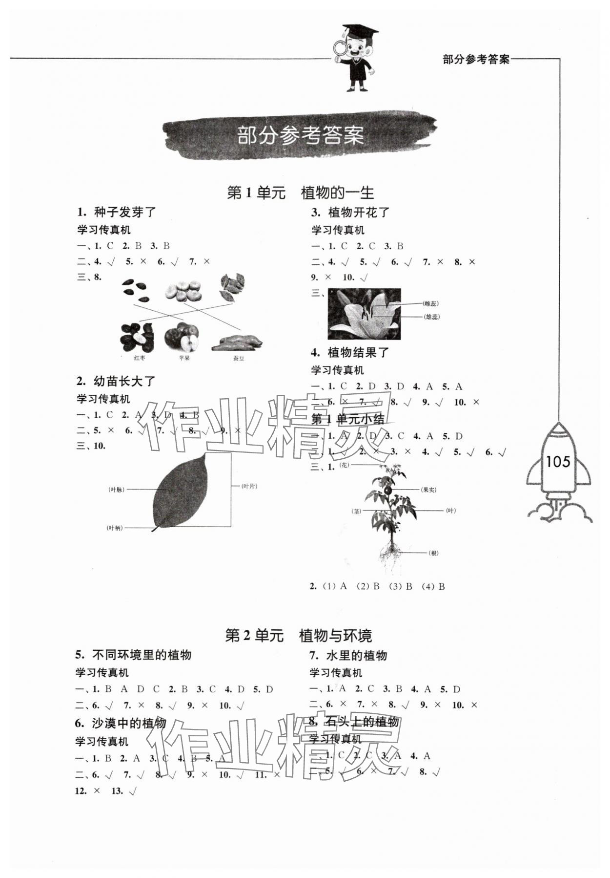2024年小學科學習作三年級科學下冊蘇教版 參考答案第1頁