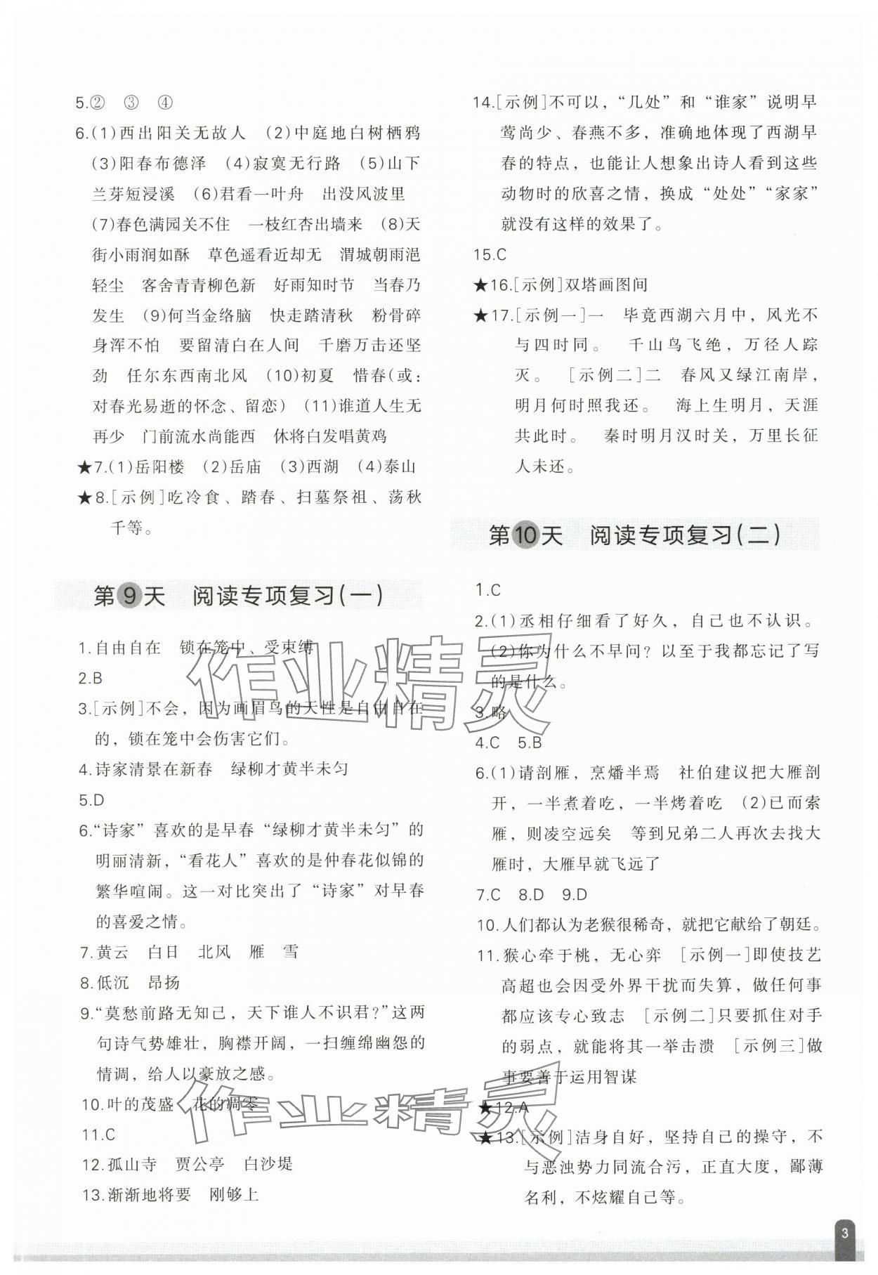 2025年核心素養(yǎng)天天練語文期末分項(xiàng)復(fù)習(xí)21天六年級下冊人教版 參考答案第3頁