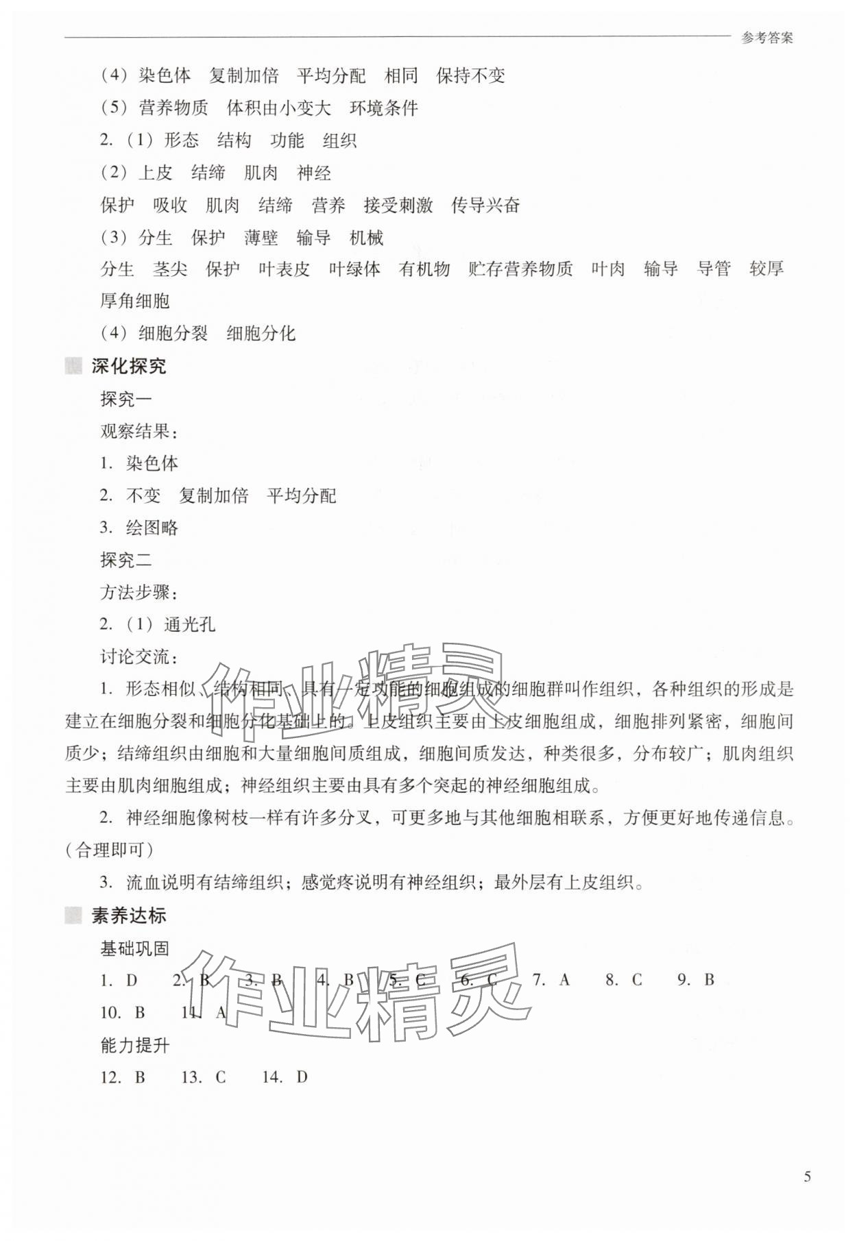 2025年新課程問題解決導(dǎo)學(xué)方案七年級生物上冊蘇教版 參考答案第5頁