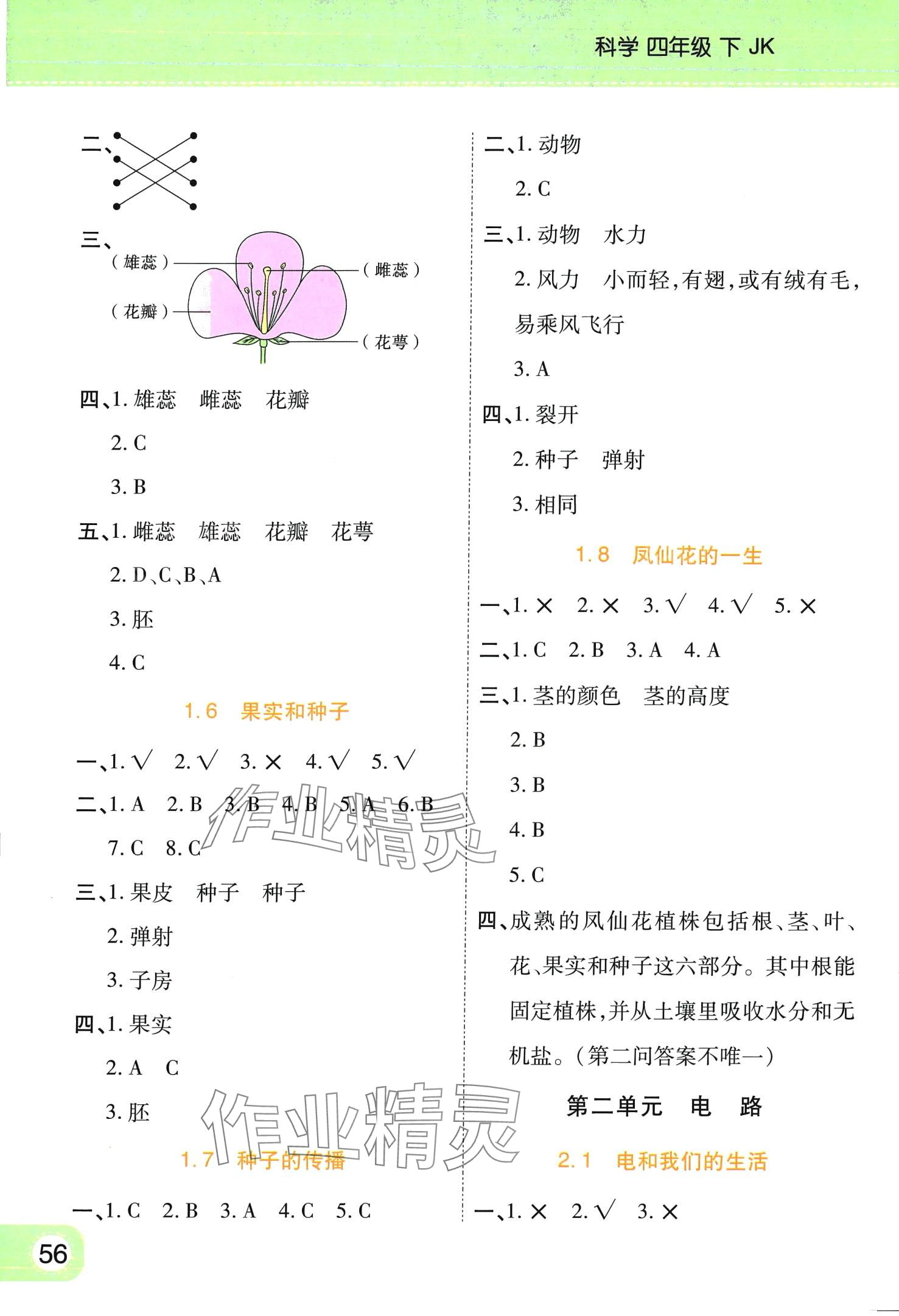 2024年黃岡同步練一日一練四年級科學(xué)下冊教科版 第2頁