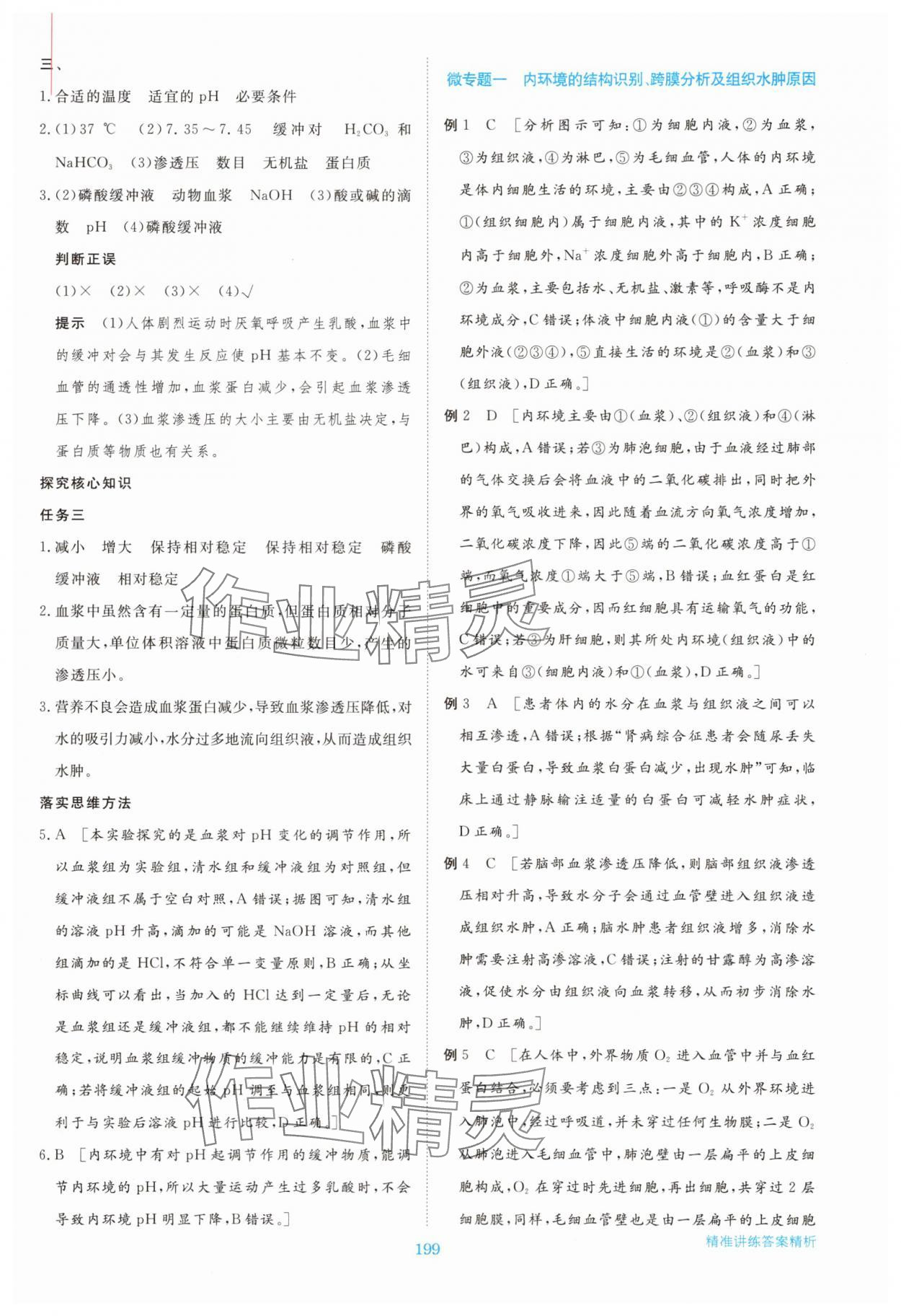 2025年步步高精准讲练高中生物选择性必修1浙科版 第2页