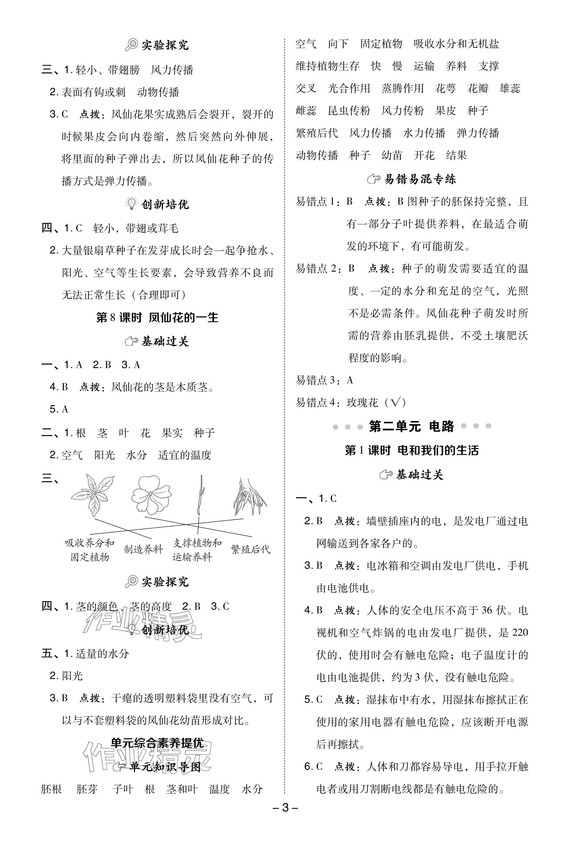 2024年綜合應用創(chuàng)新題典中點四年級科學下冊教科版 參考答案第3頁