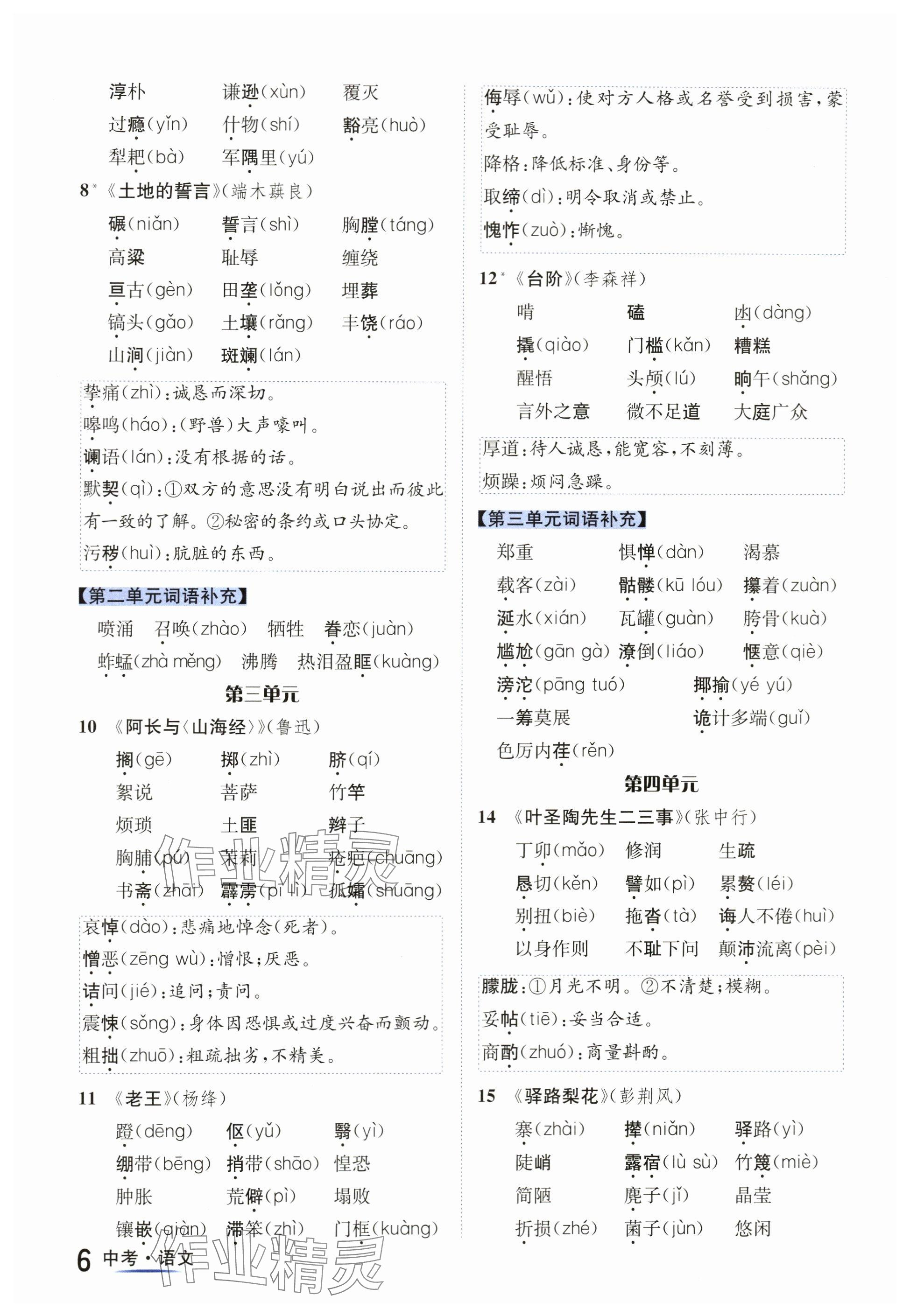 2024年國(guó)華圖書中考拐點(diǎn)語(yǔ)文南充專版 參考答案第6頁(yè)