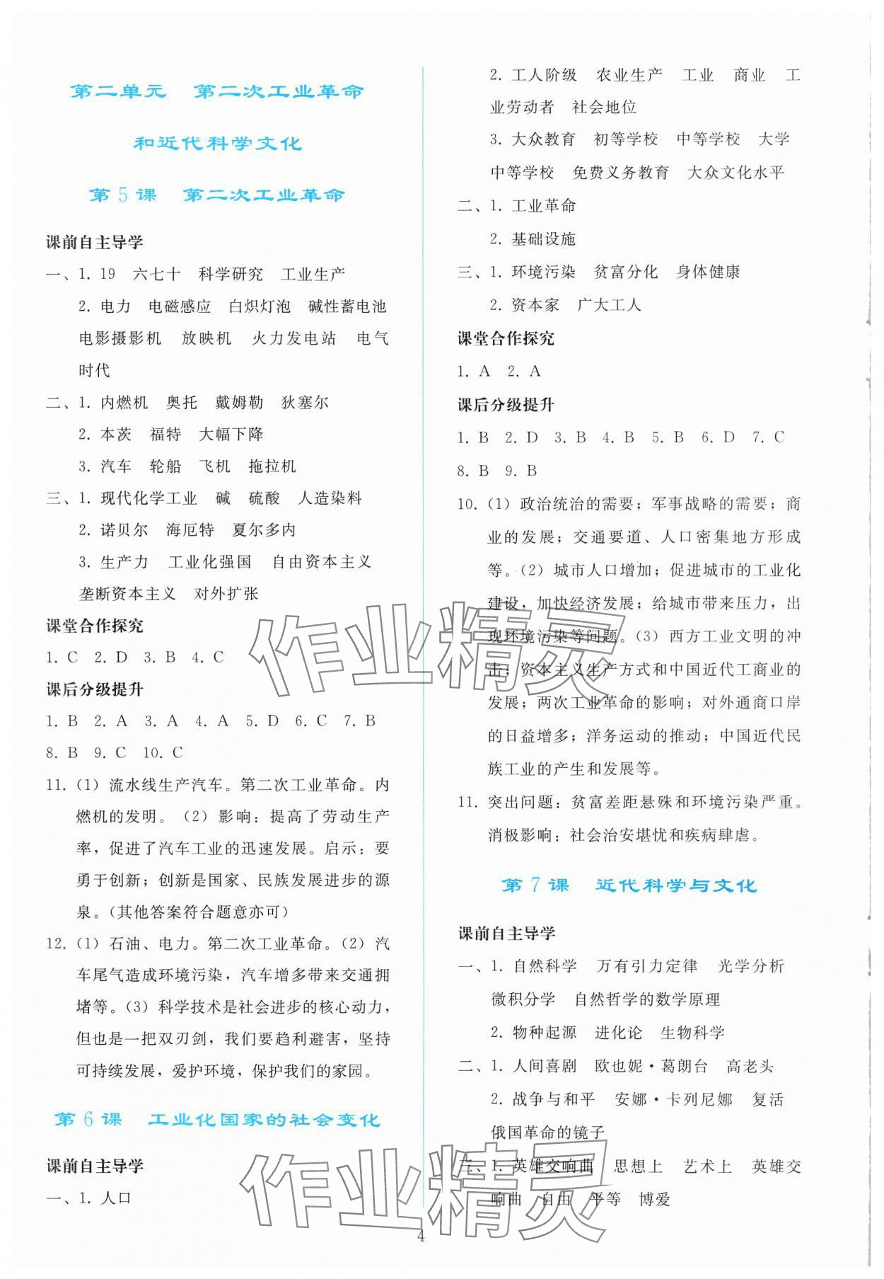 2025年同步輕松練習(xí)九年級歷史下冊人教版 參考答案第3頁