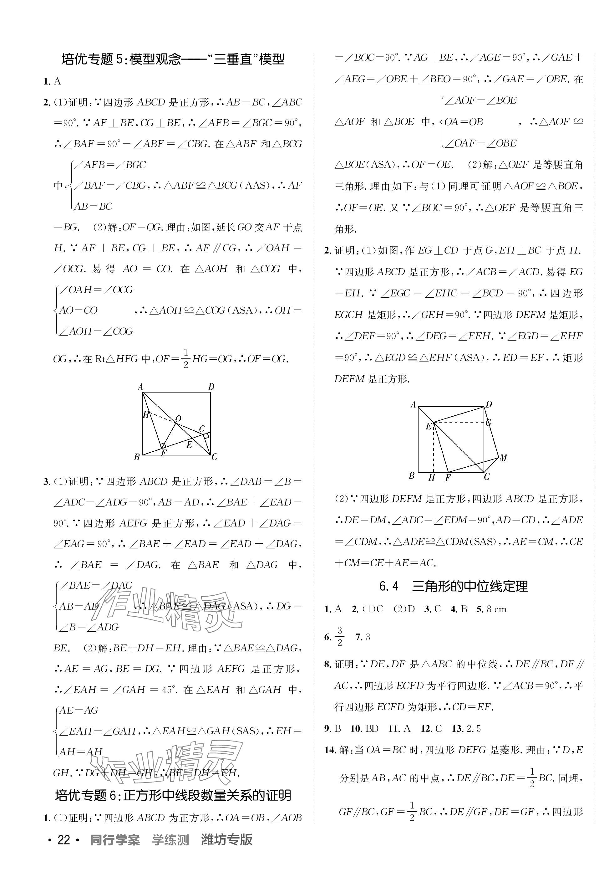 2024年同行學(xué)案學(xué)練測八年級數(shù)學(xué)下冊青島版 第7頁