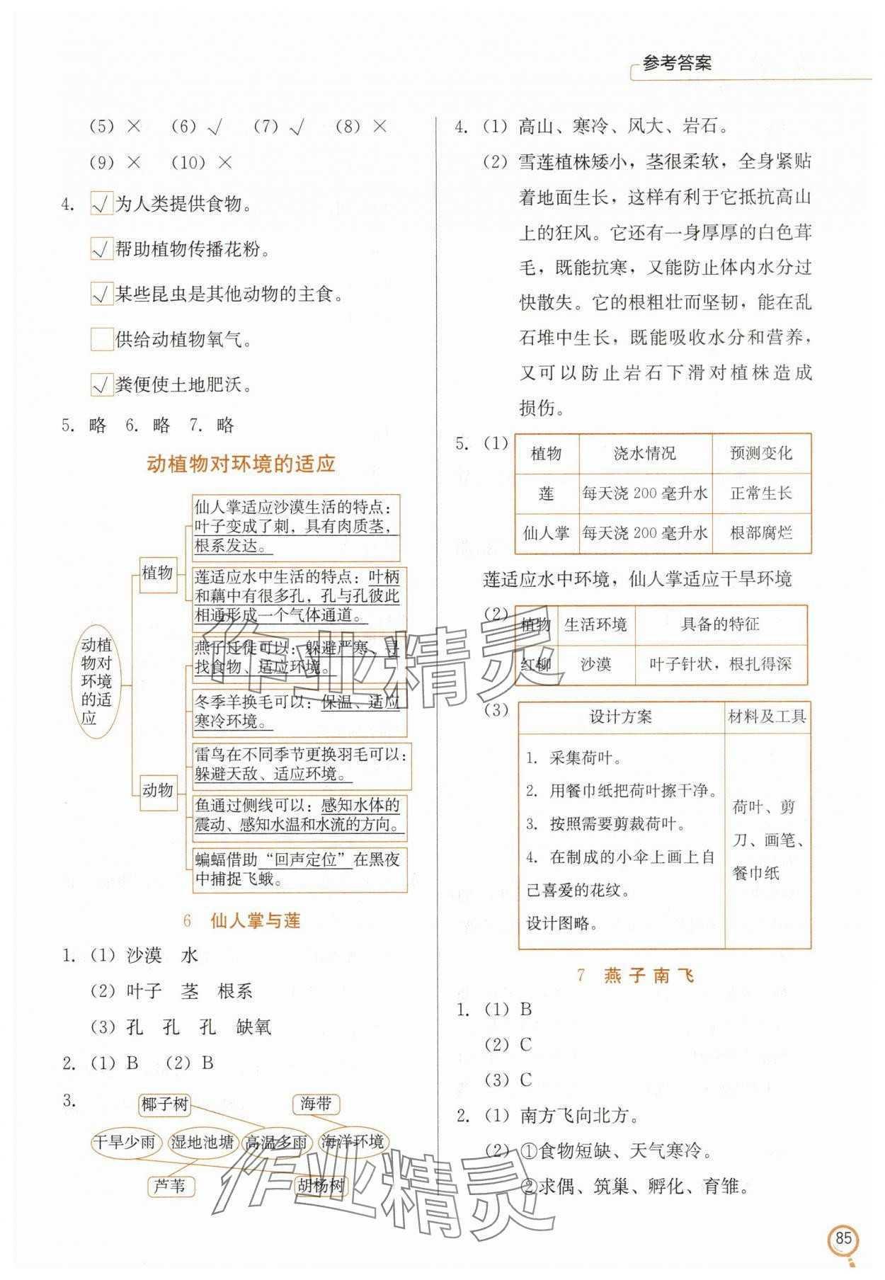 2025年學(xué)生同步訓(xùn)練手冊三年級科學(xué)下冊冀人版 參考答案第3頁