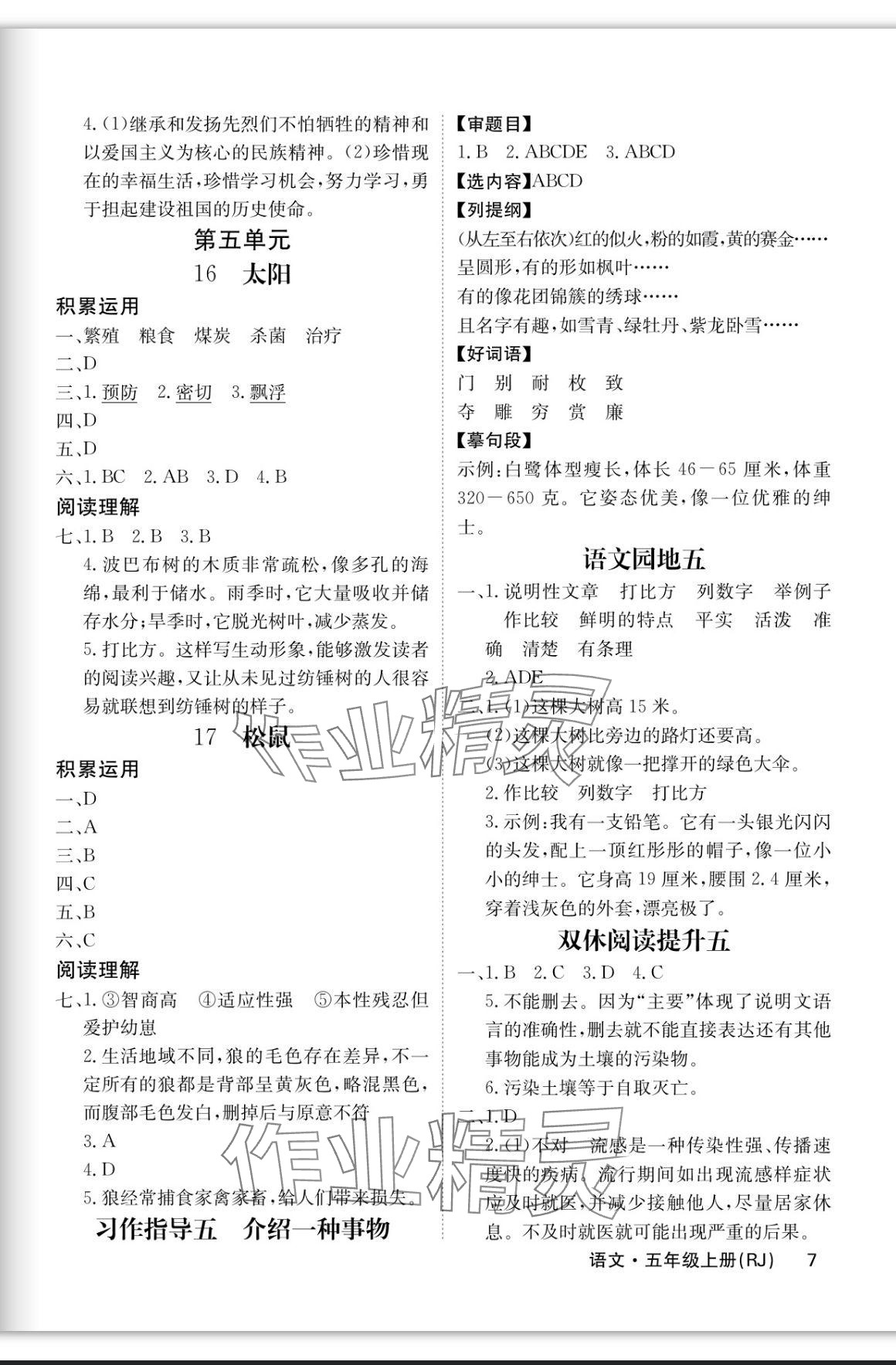 2023年課堂點睛五年級語文上冊人教版福建專版 參考答案第7頁