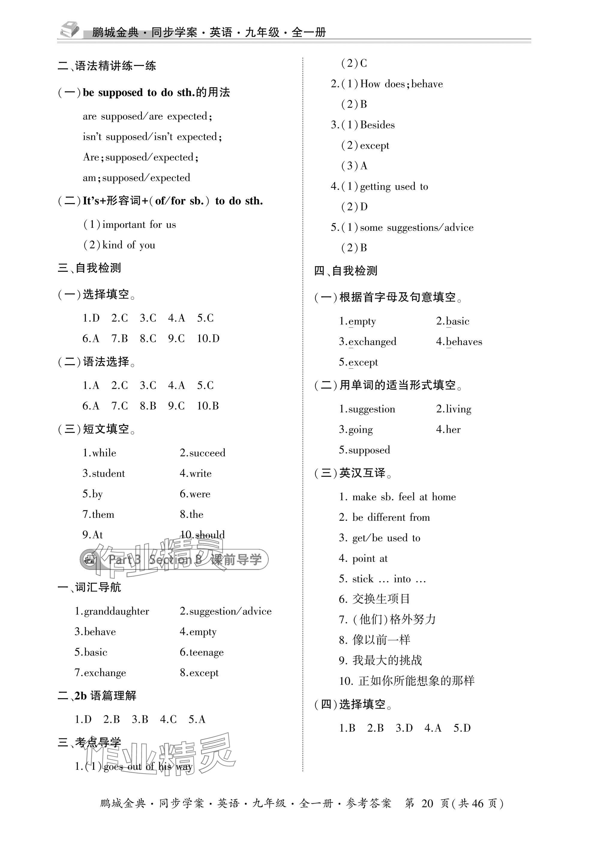 2025年名师帮同步学案九年级英语全一册人教版&nbsp;参考答案第20页