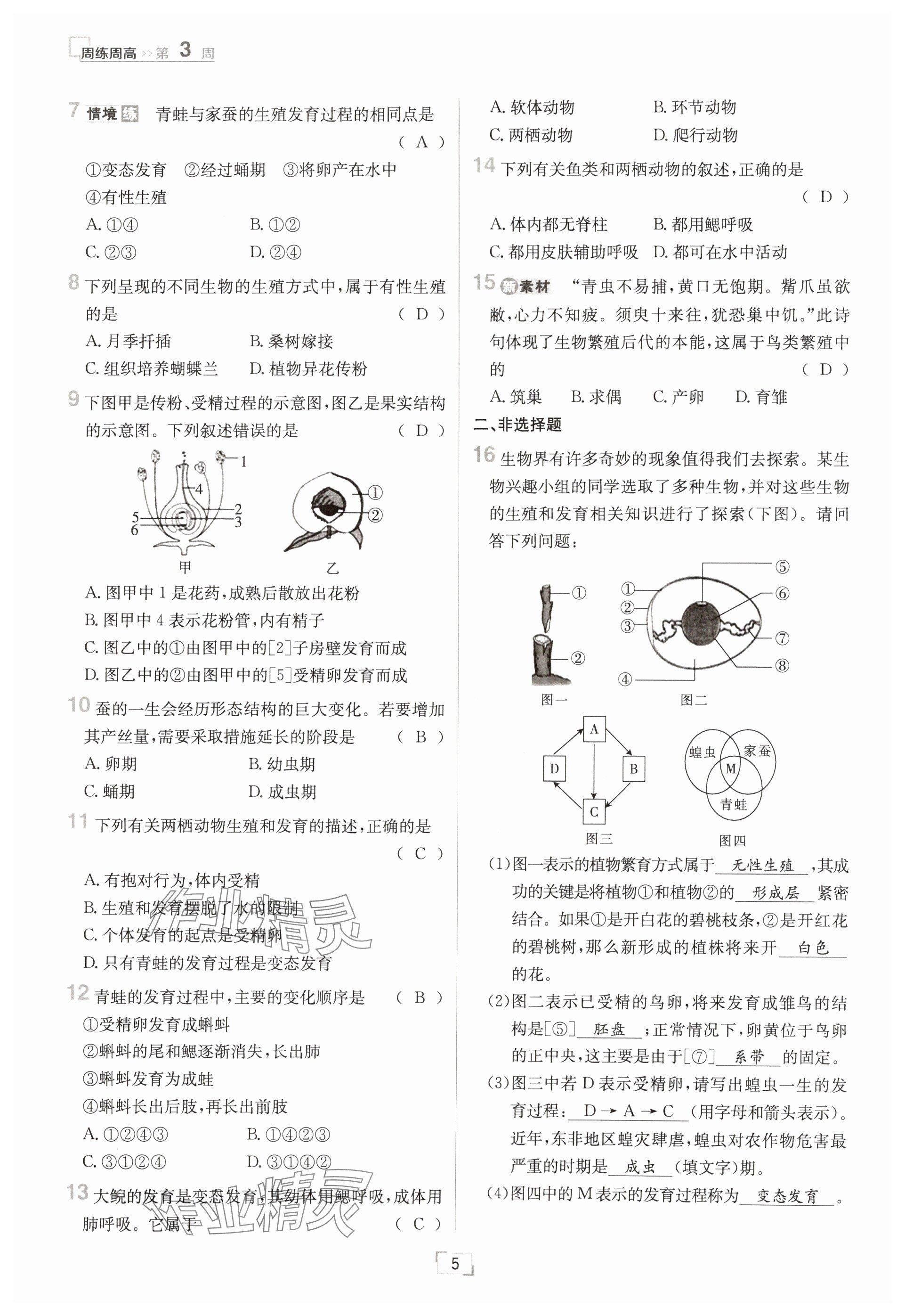 2025年日清周练八年级生物下册人教版&nbsp;参考答案第5页