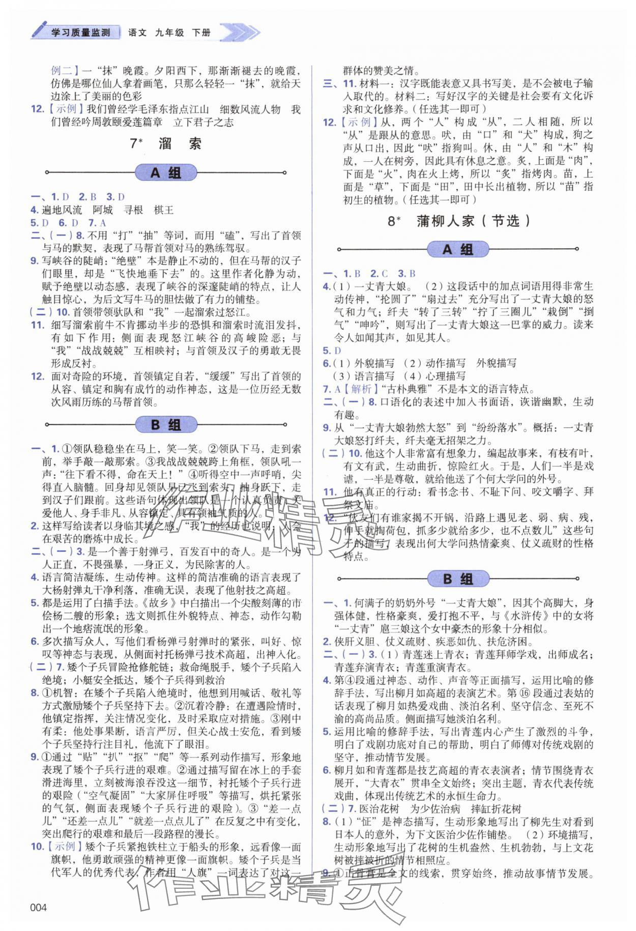 2025年學(xué)習(xí)質(zhì)量監(jiān)測(cè)九年級(jí)語文下冊(cè)人教版 第4頁