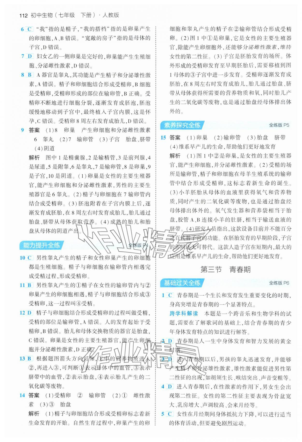 2024年5年中考3年模拟七年级生物下册人教版 参考答案第2页