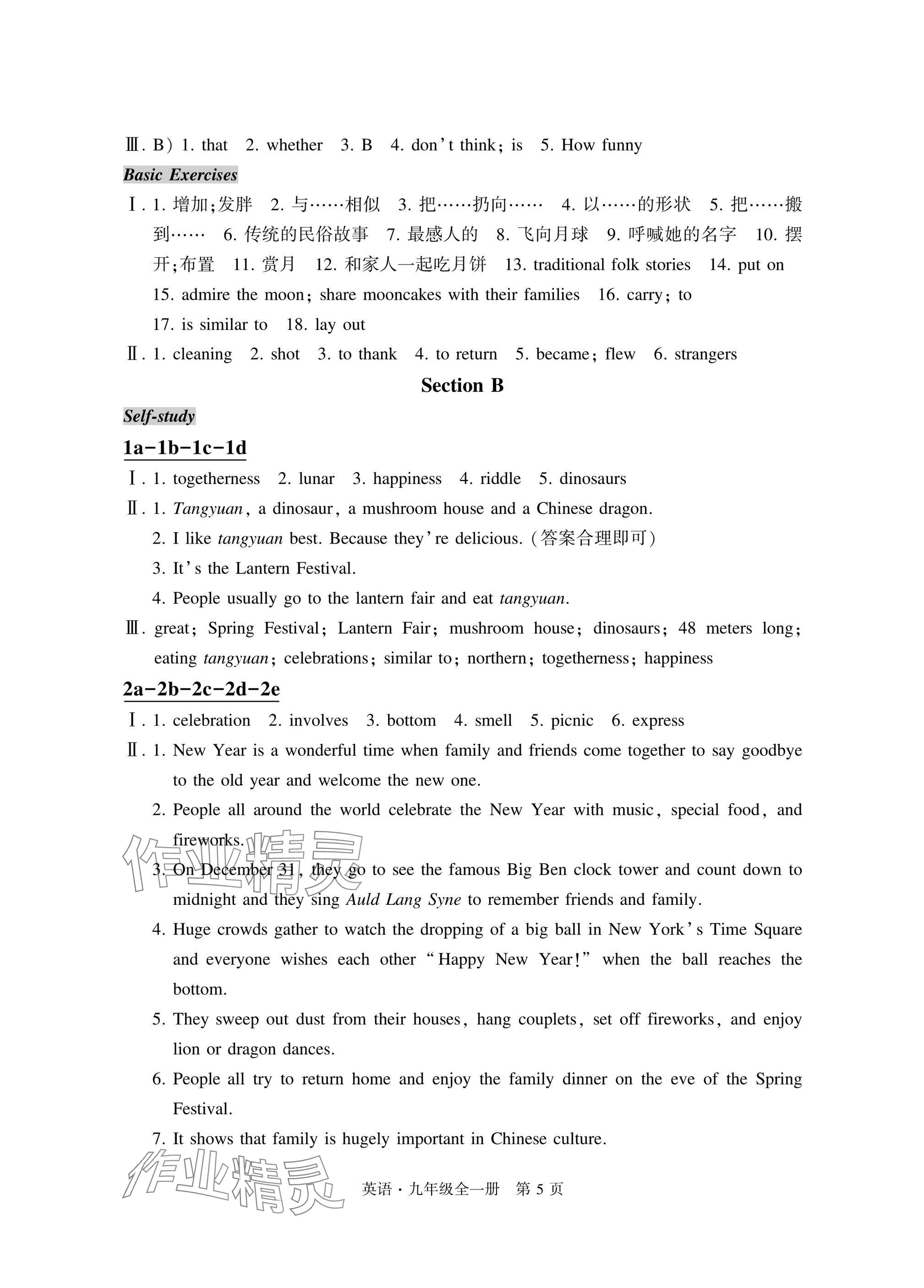 2025年自主学习指导课程与测试九年级英语全一册人教版&nbsp;参考答案第5页