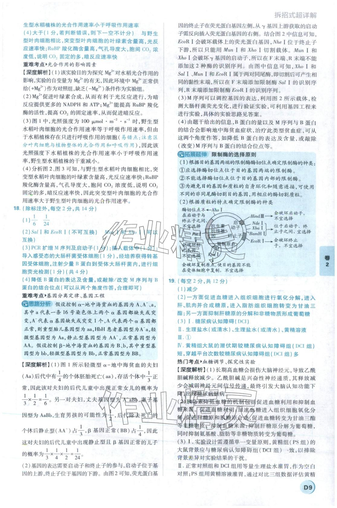 2026年理想树试题攻略高中生物 参考答案第8页