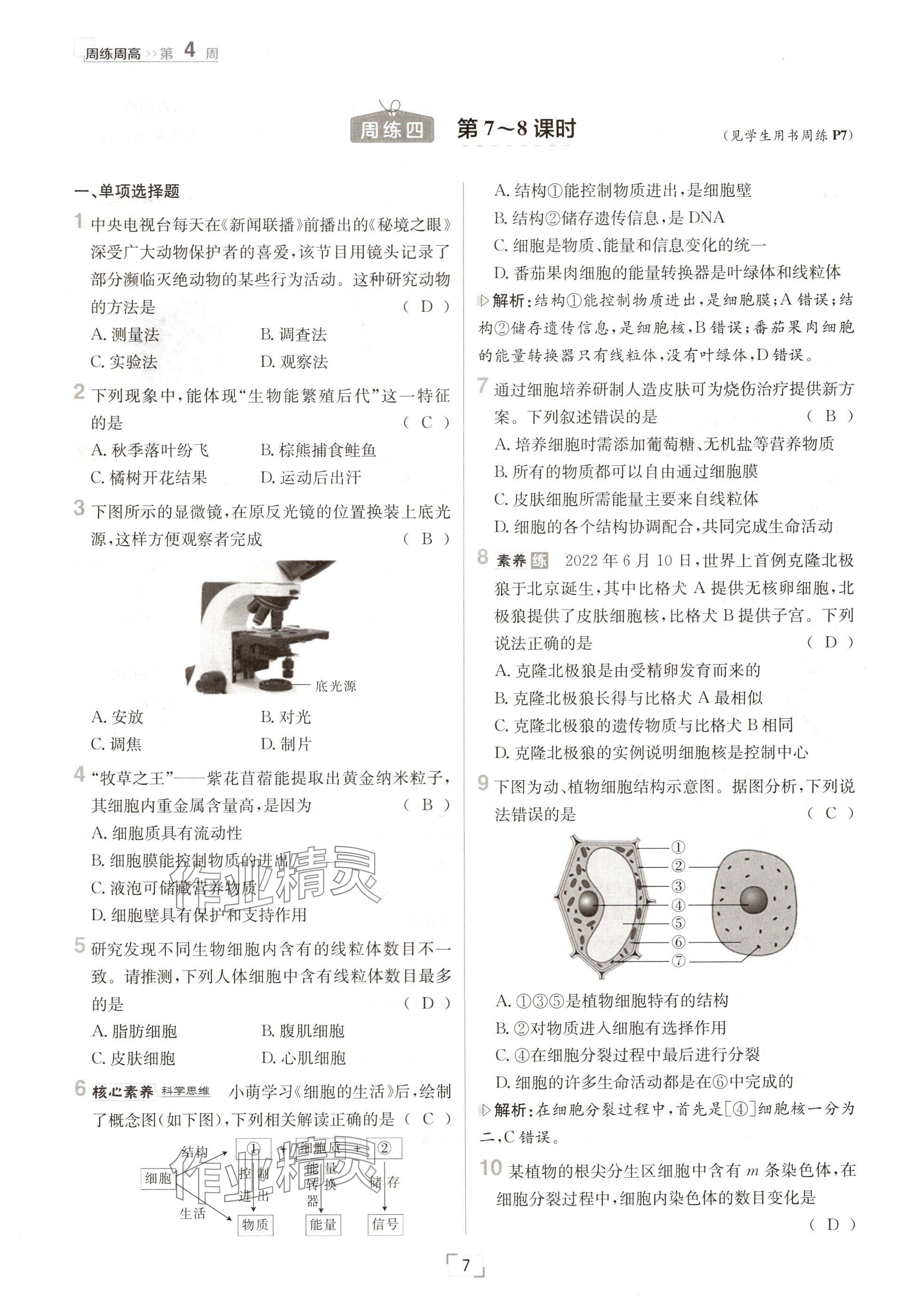 2024年日清周練七年級(jí)生物上冊(cè)人教版 參考答案第7頁