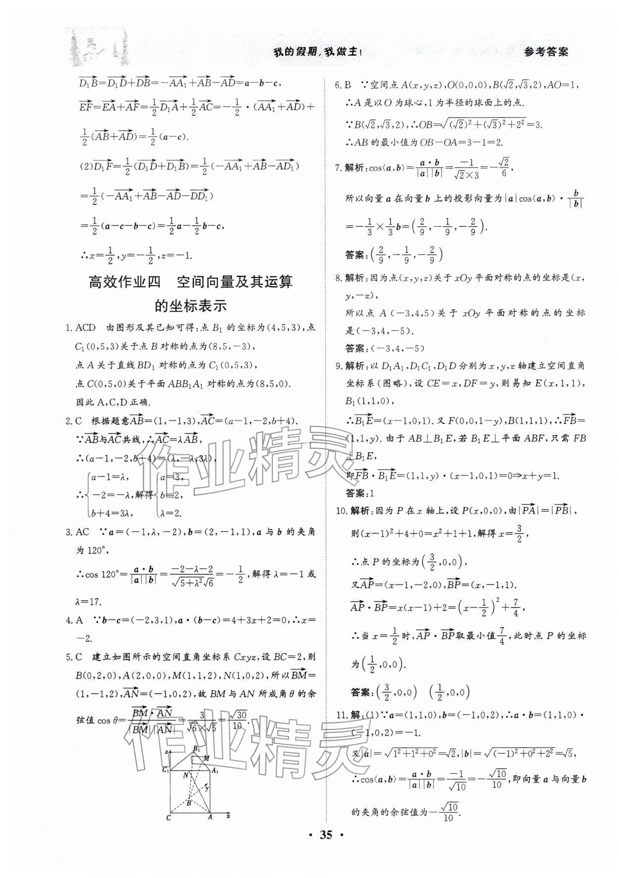 2026年優化探究高效作業高二數學&nbsp;參考答案第5頁