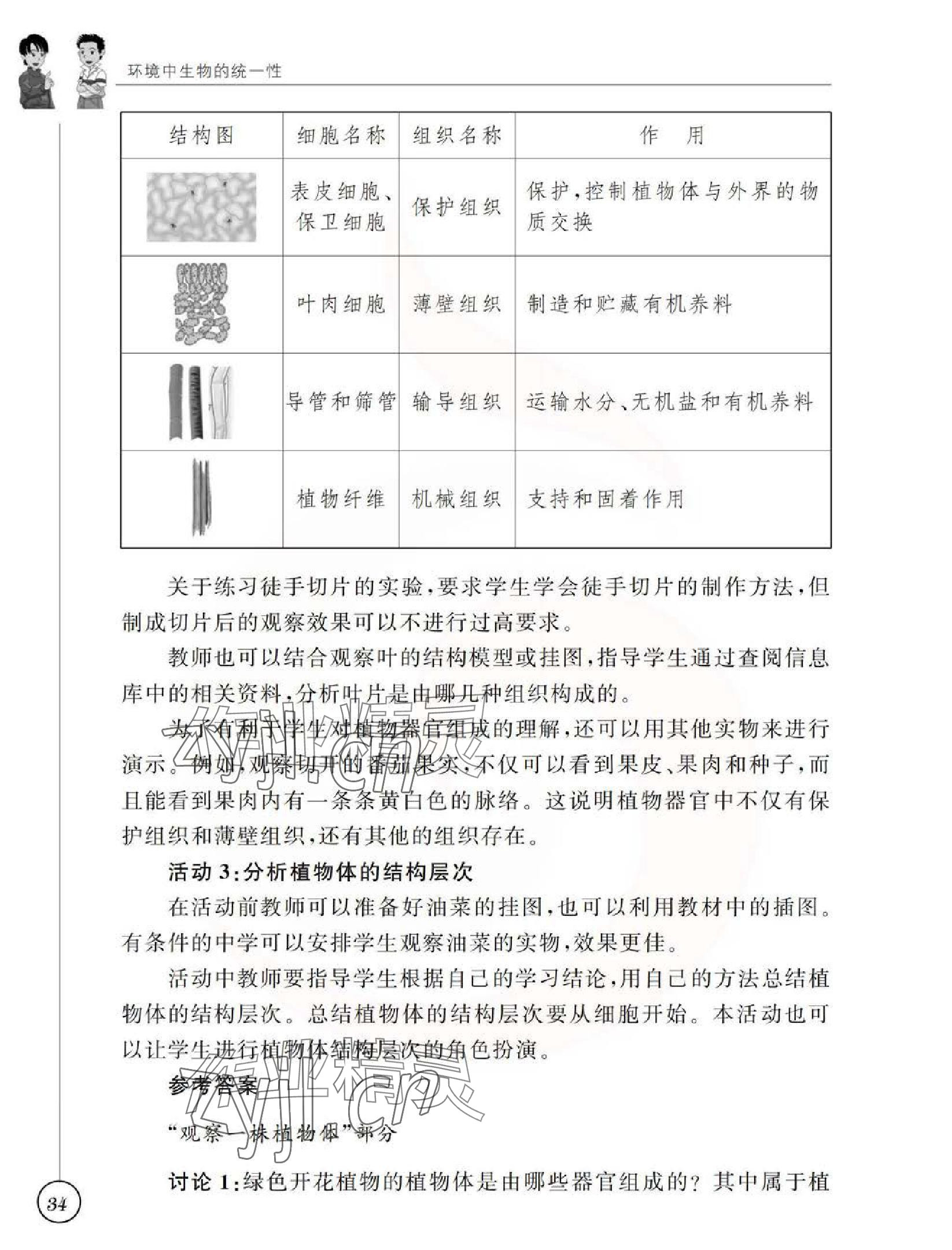 2023年教材課本七年級生物上冊蘇科版 參考答案第35頁