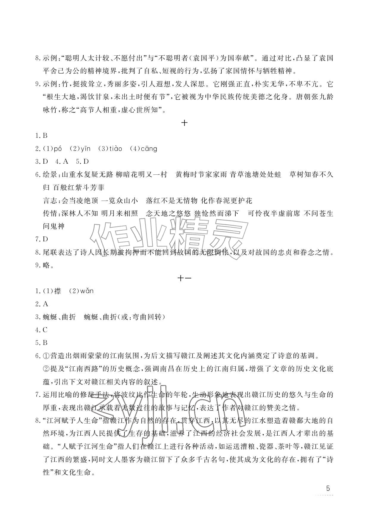 2026年暑假作业江西教育出版社七年级合订本北师大版&nbsp;参考答案第5页