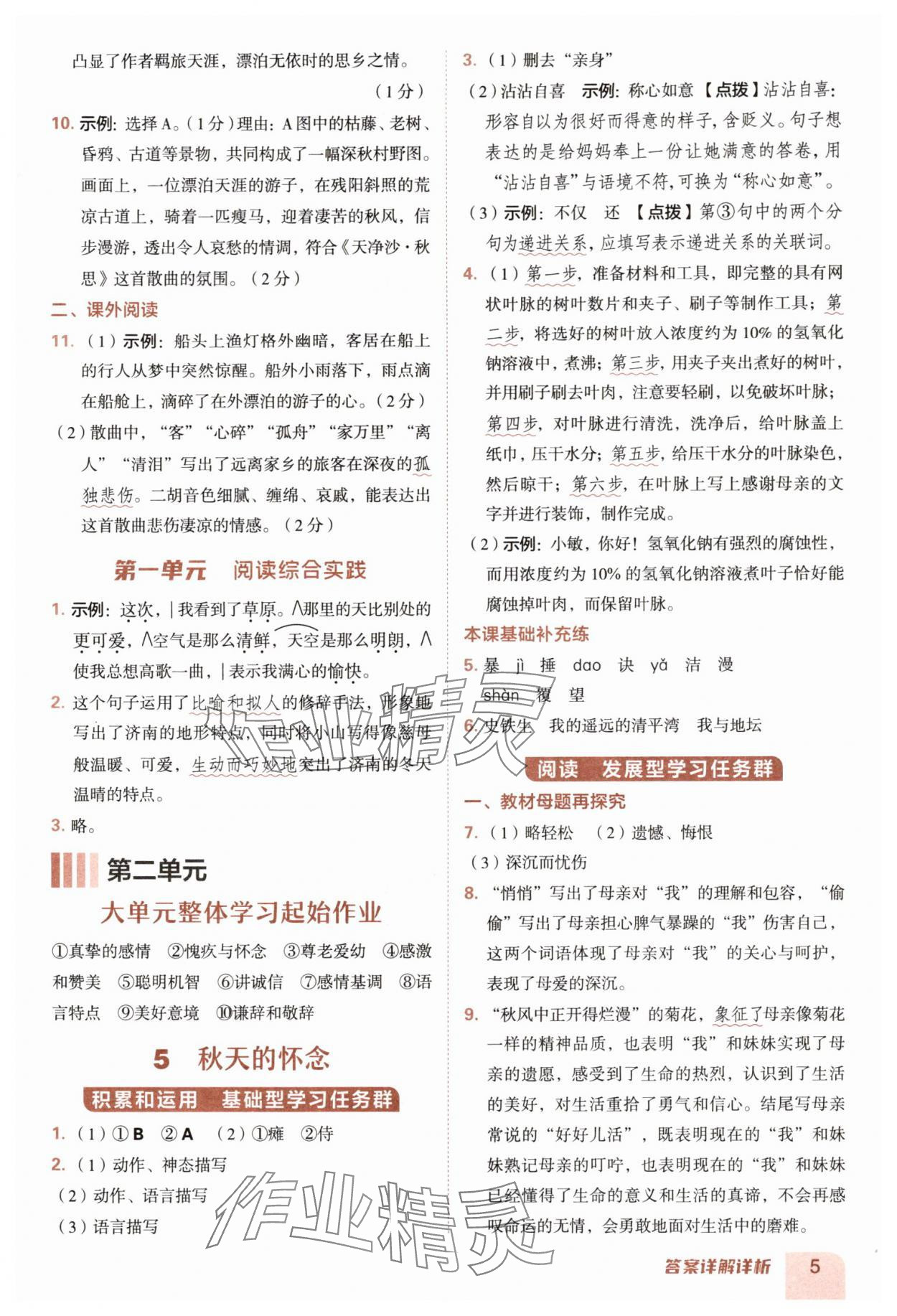 2025年綜合應(yīng)用創(chuàng)新題典中點七年級語文上冊人教版陜西專版&nbsp;參考答案第5頁